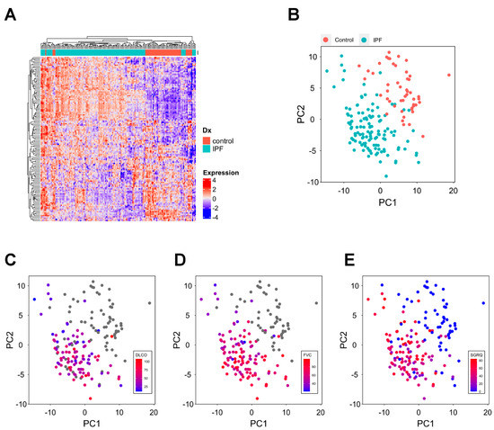 A Single-Cell Network-Based Drug Repositioning Strategy for