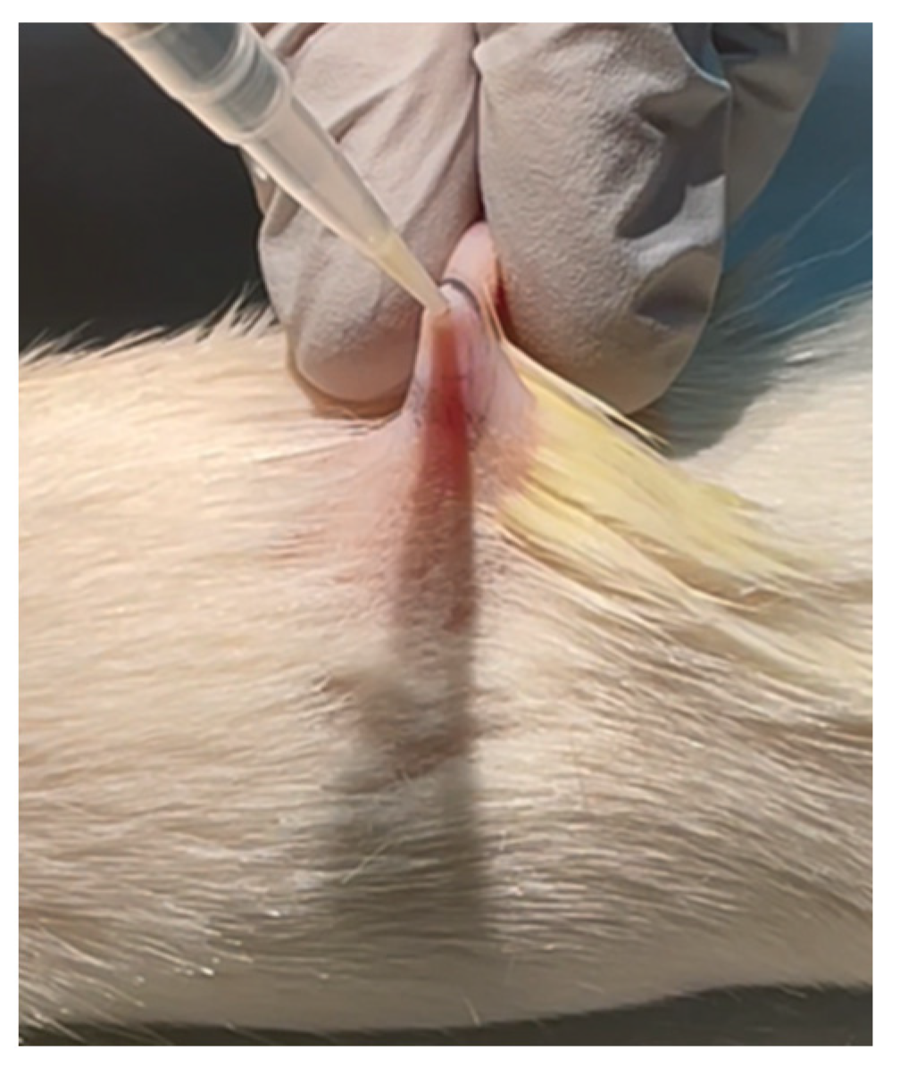 Pharmaceutics 14 00976 g002 550