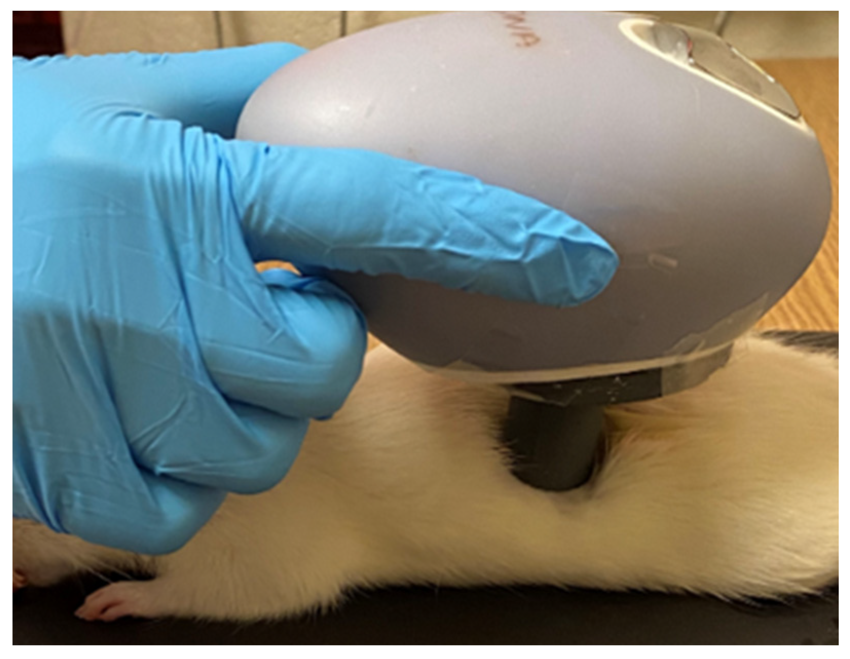 Pharmaceutics 14 00976 g003 550