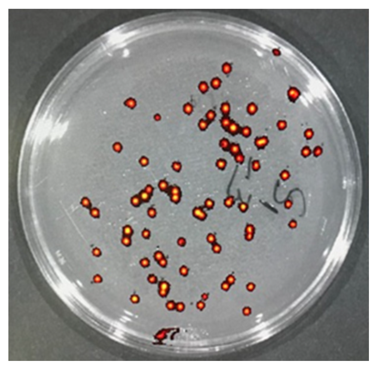 Pharmaceutics 14 00976 g004 550