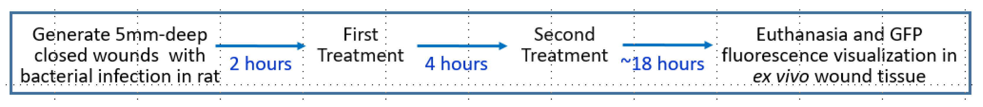 Pharmaceutics 14 00976 g005 550
