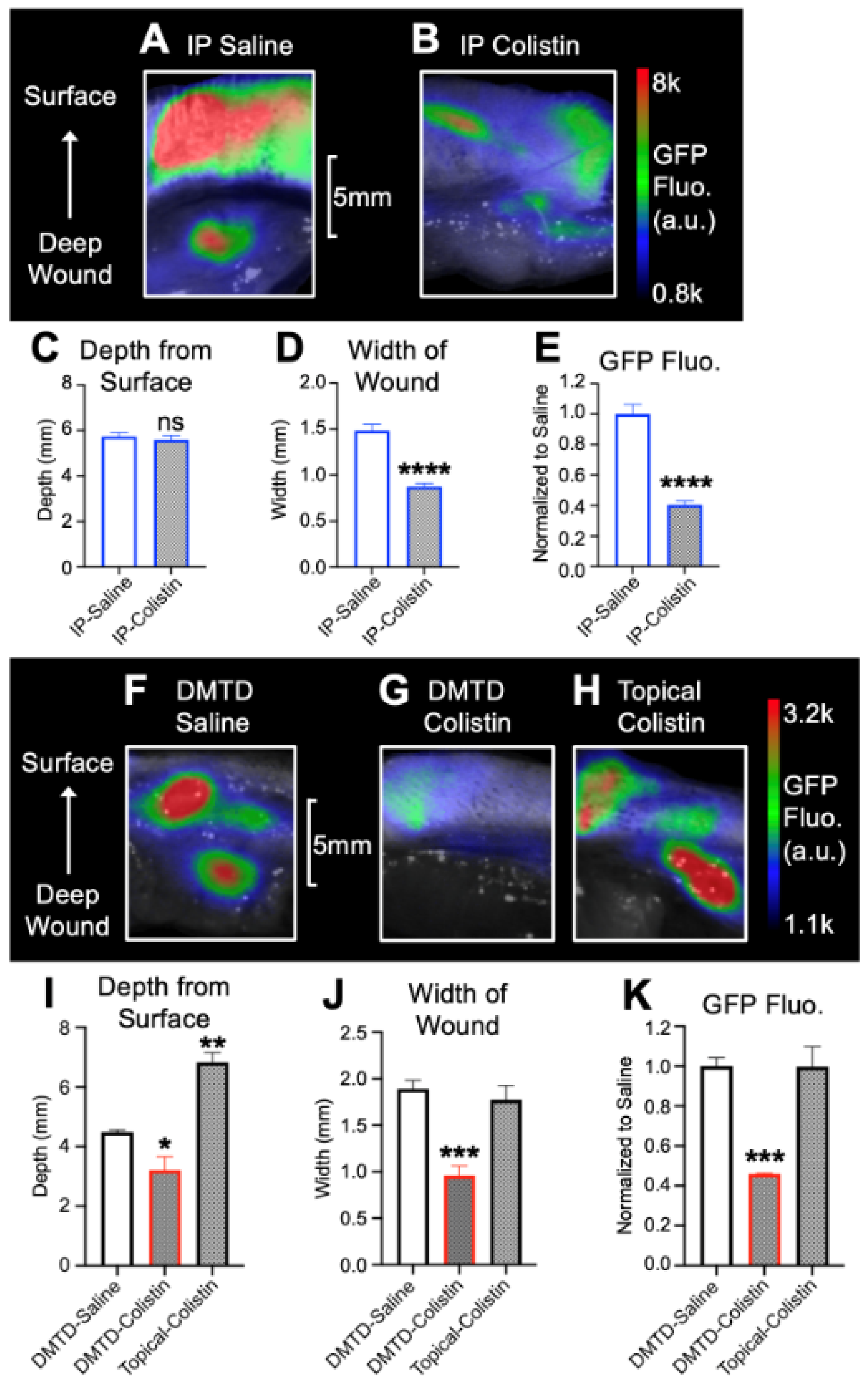 Pharmaceutics 14 00976 g007 550