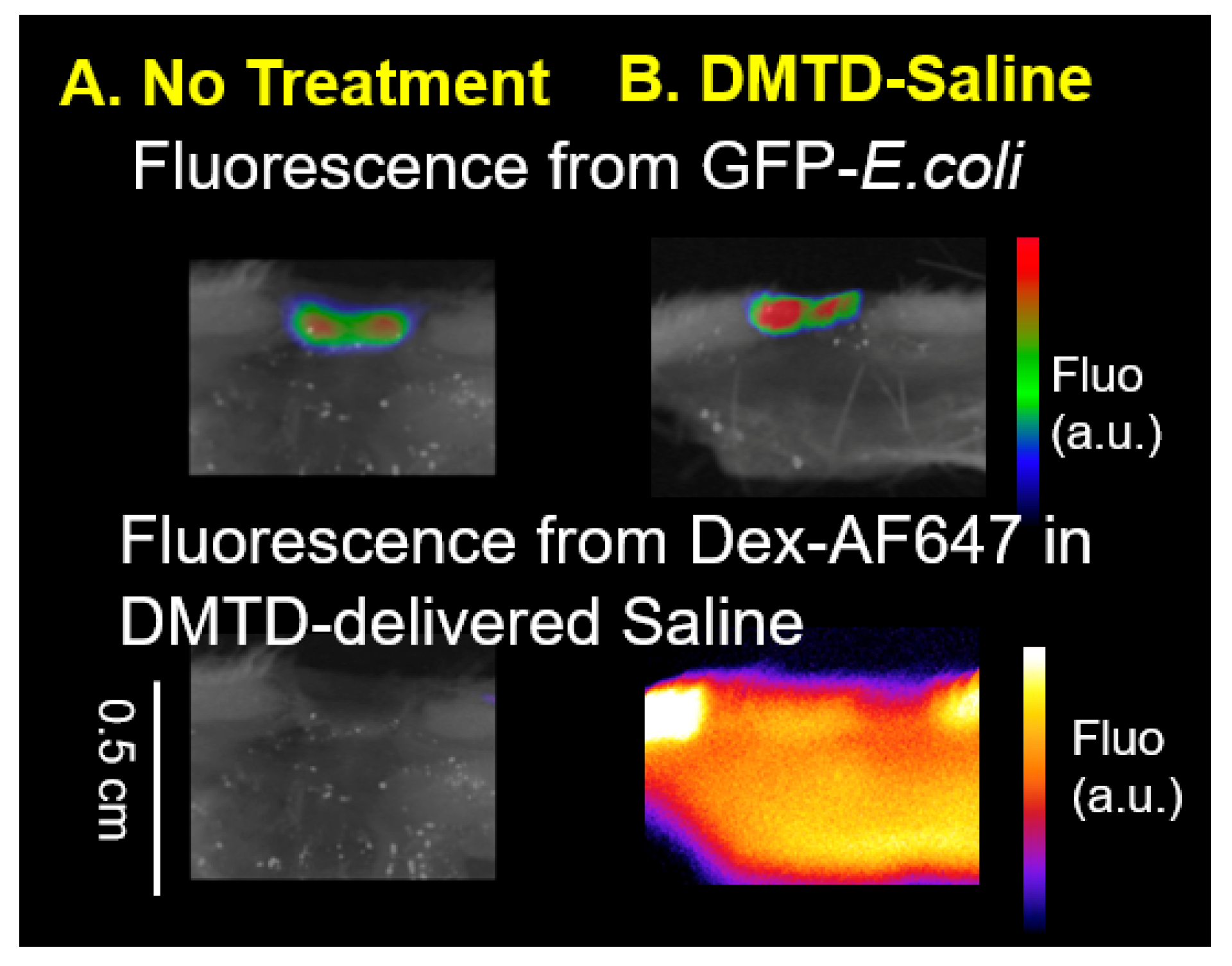 Pharmaceutics 14 00976 g010 550