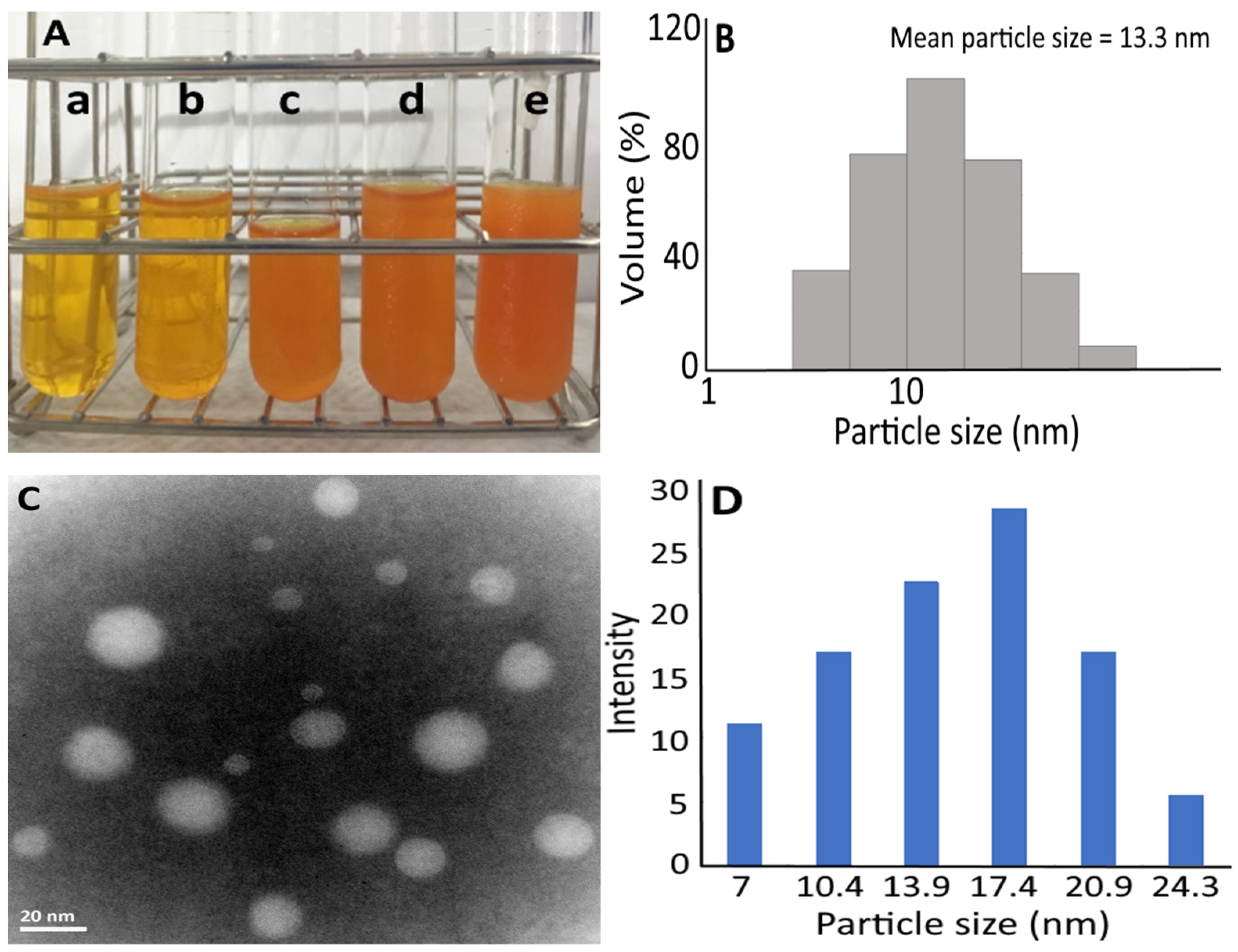 Pharmaceutics 14 00980 g002