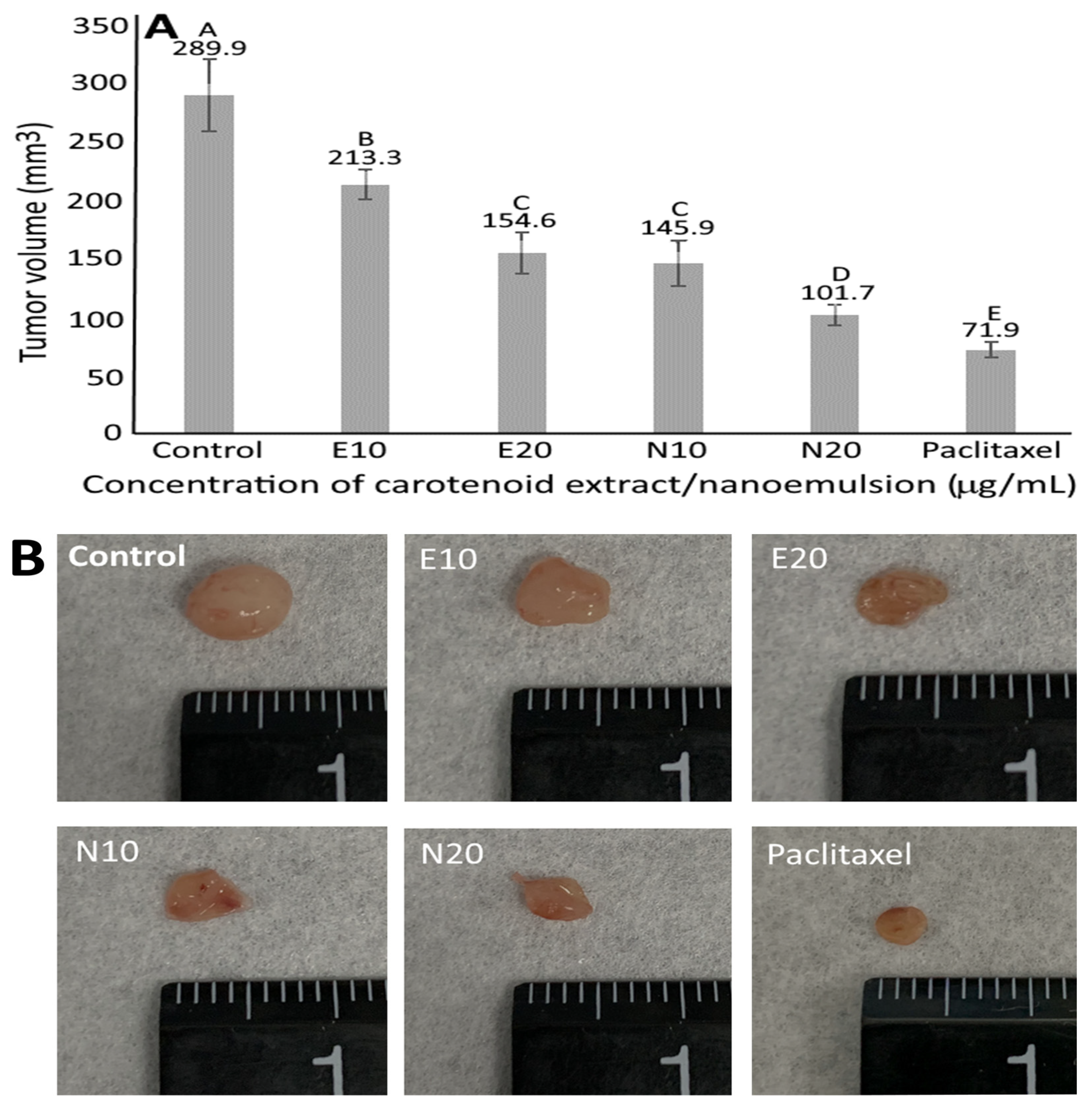 Pharmaceutics 14 00980 g008a
