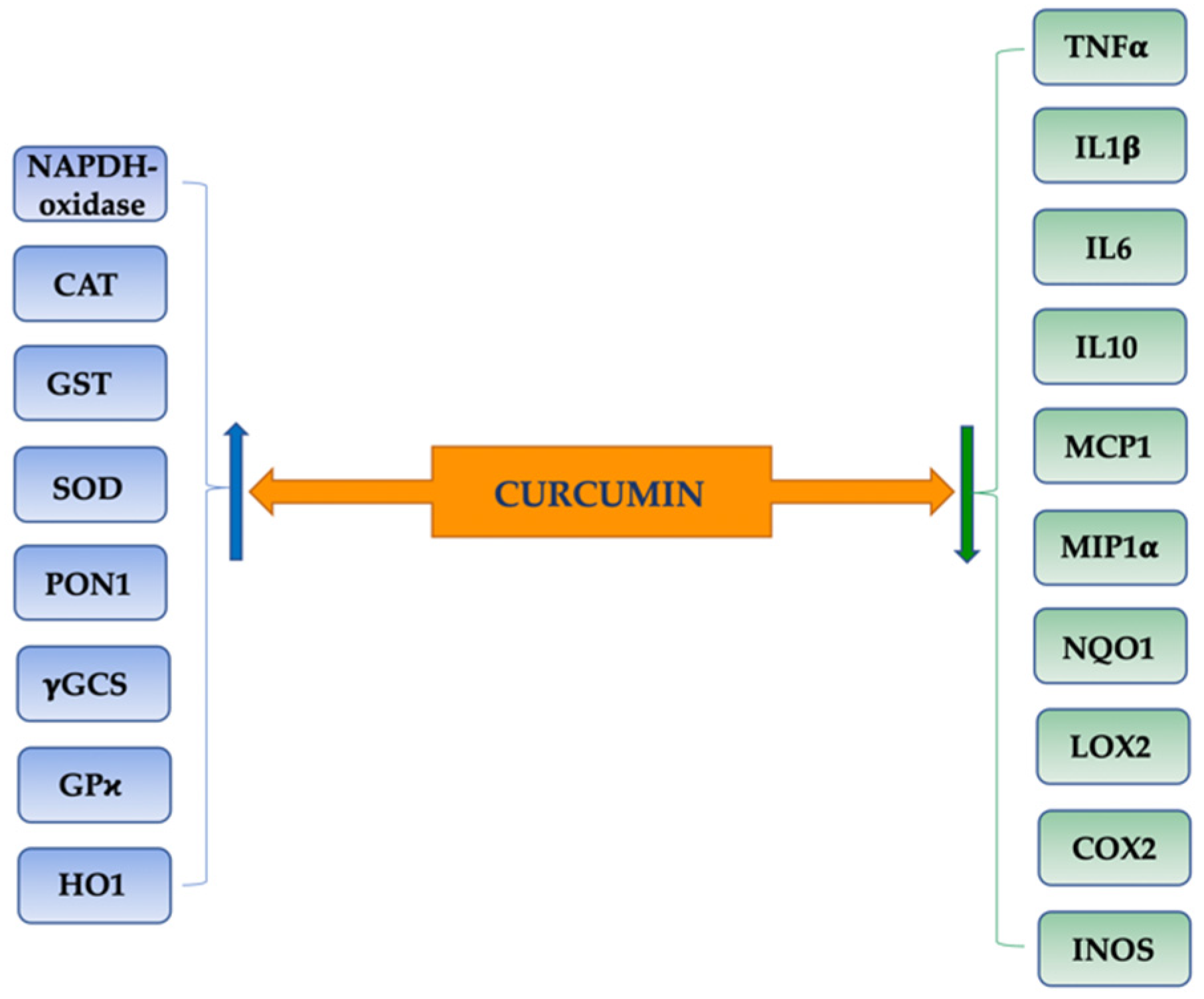 Pharmaceutics 14 00982 g001