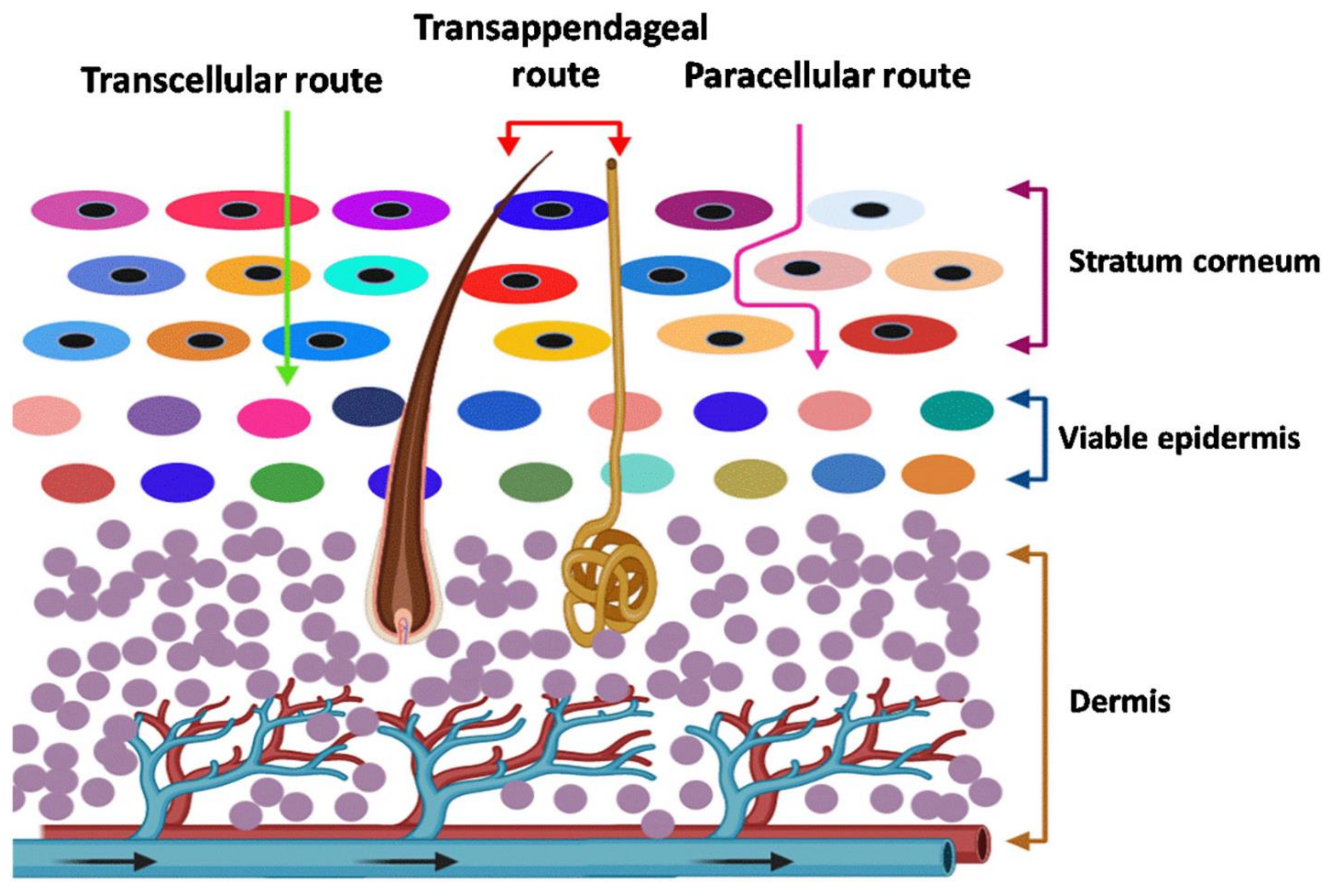 Pharmaceutics 14 00983 g001 550