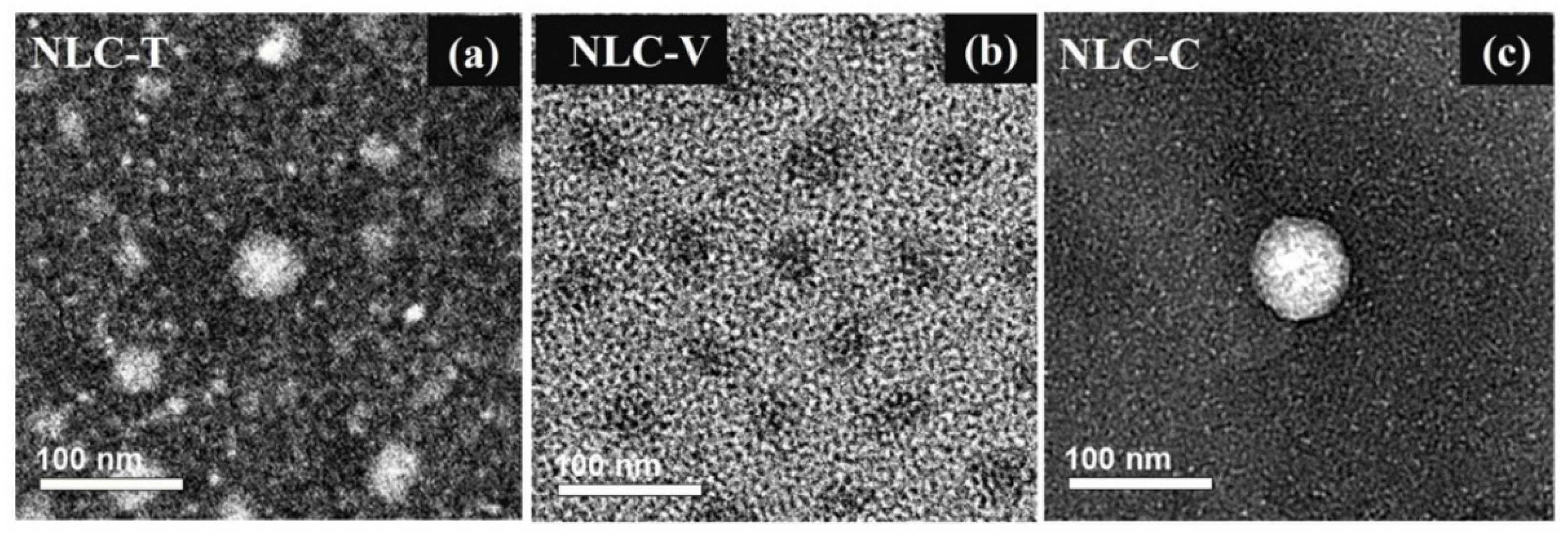 Pharmaceutics 14 00984 g003 550