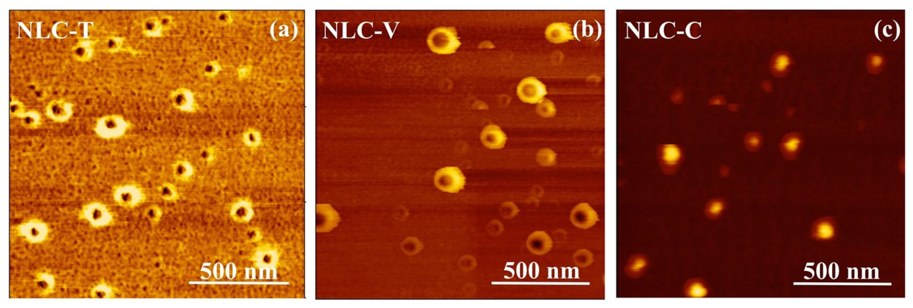 Pharmaceutics 14 00984 g004 550