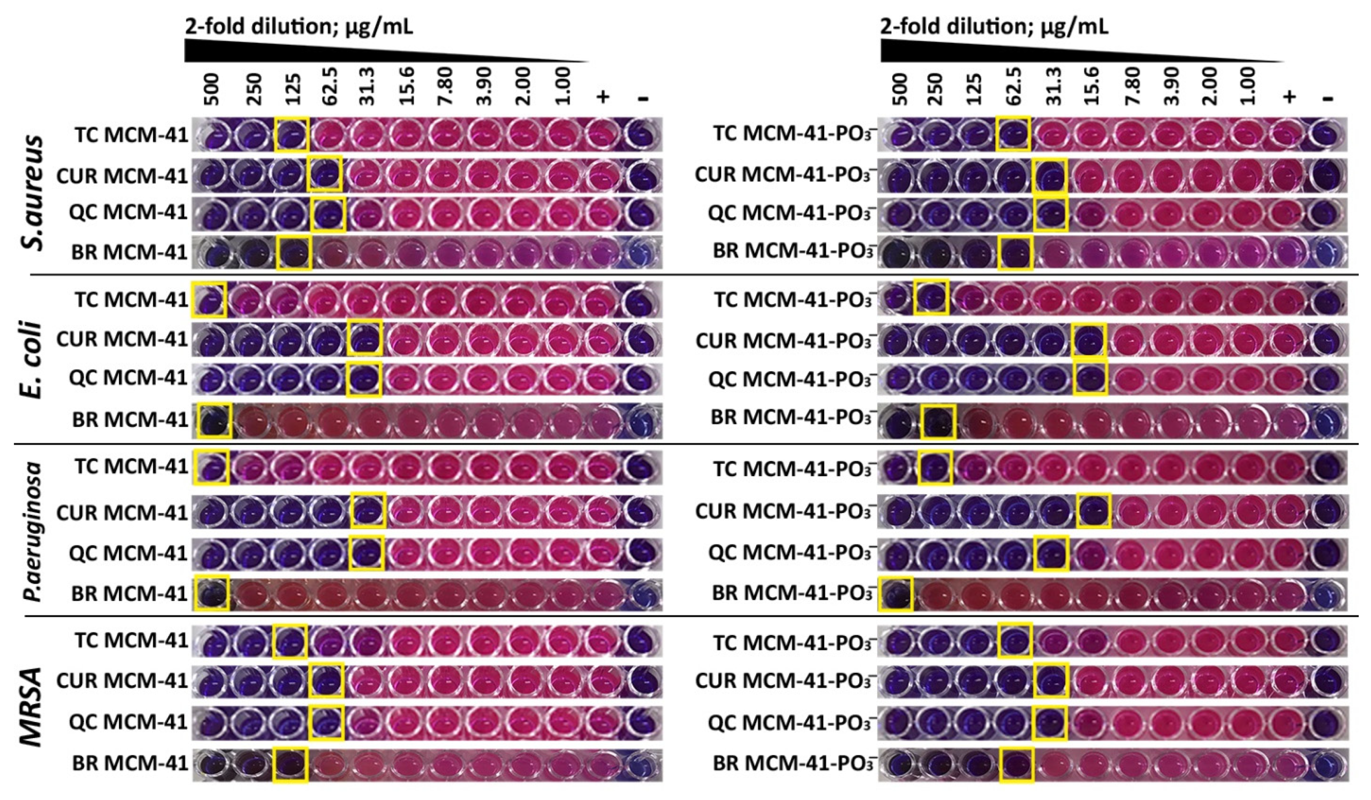 Pharmaceutics 14 00986 g005 550