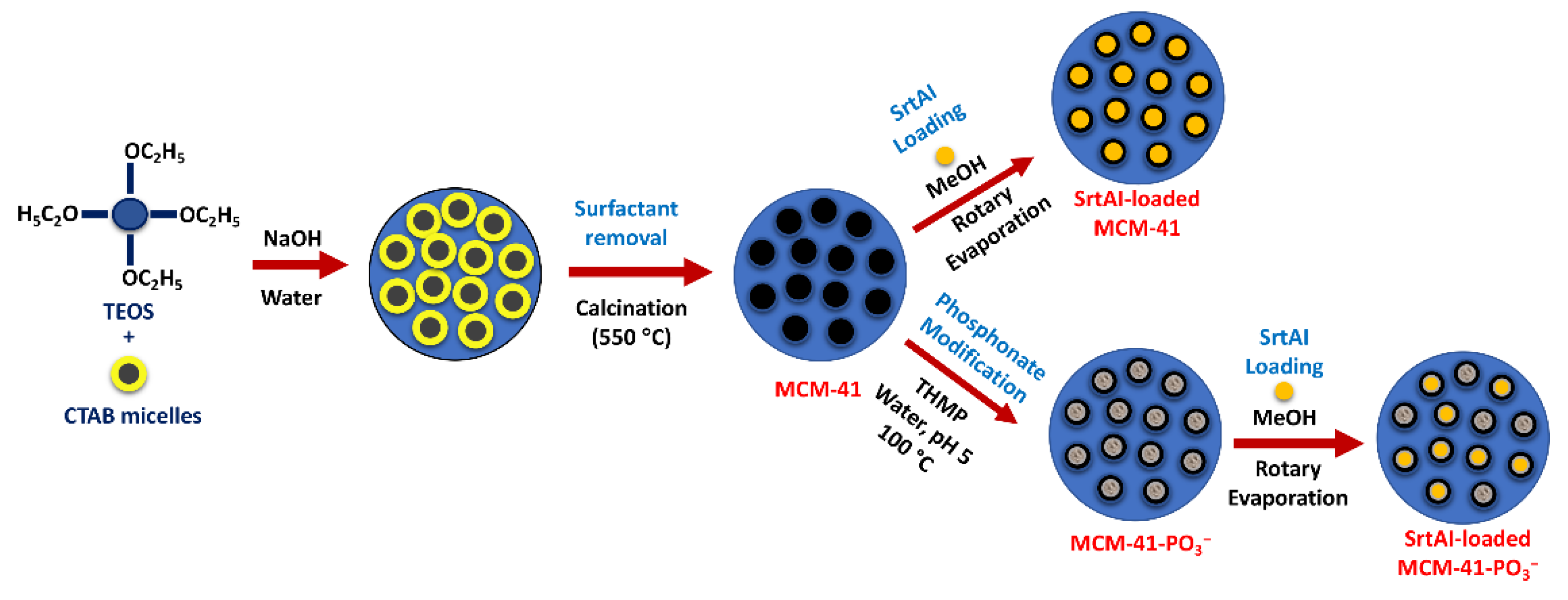 Pharmaceutics 14 00986 sch001 550