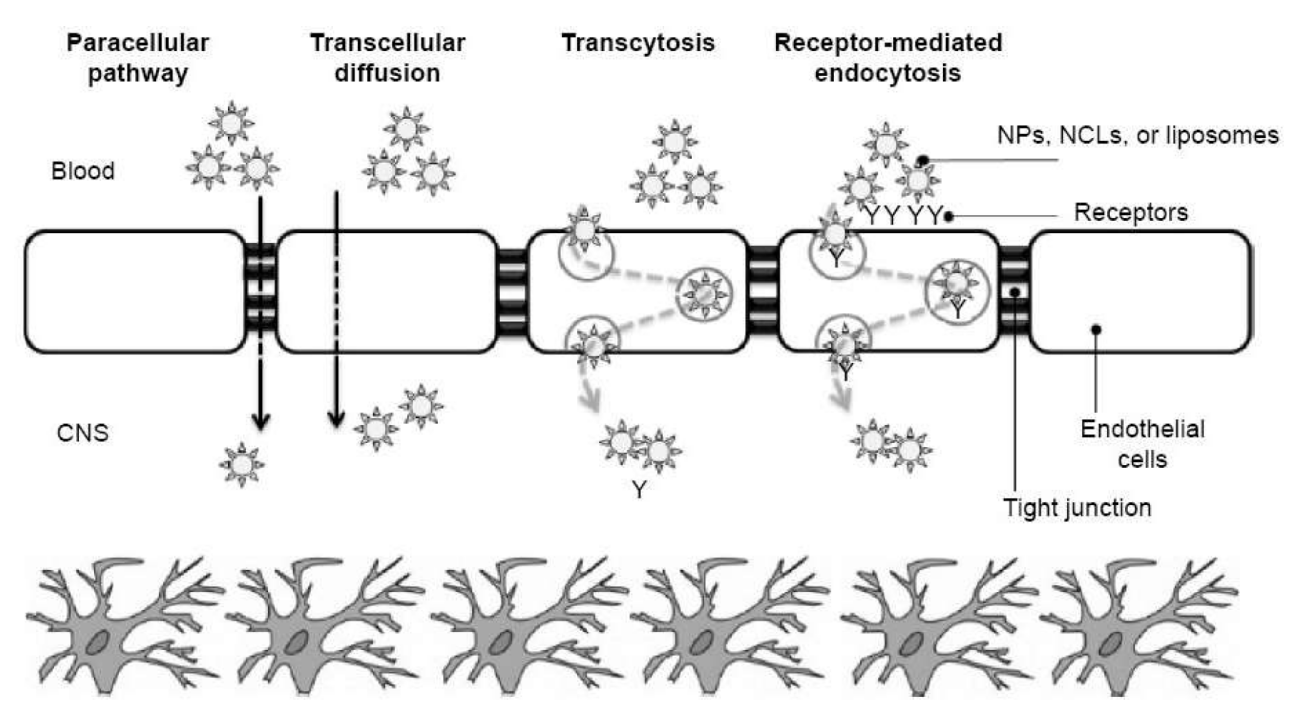 Pharmaceutics 14 00987 g006