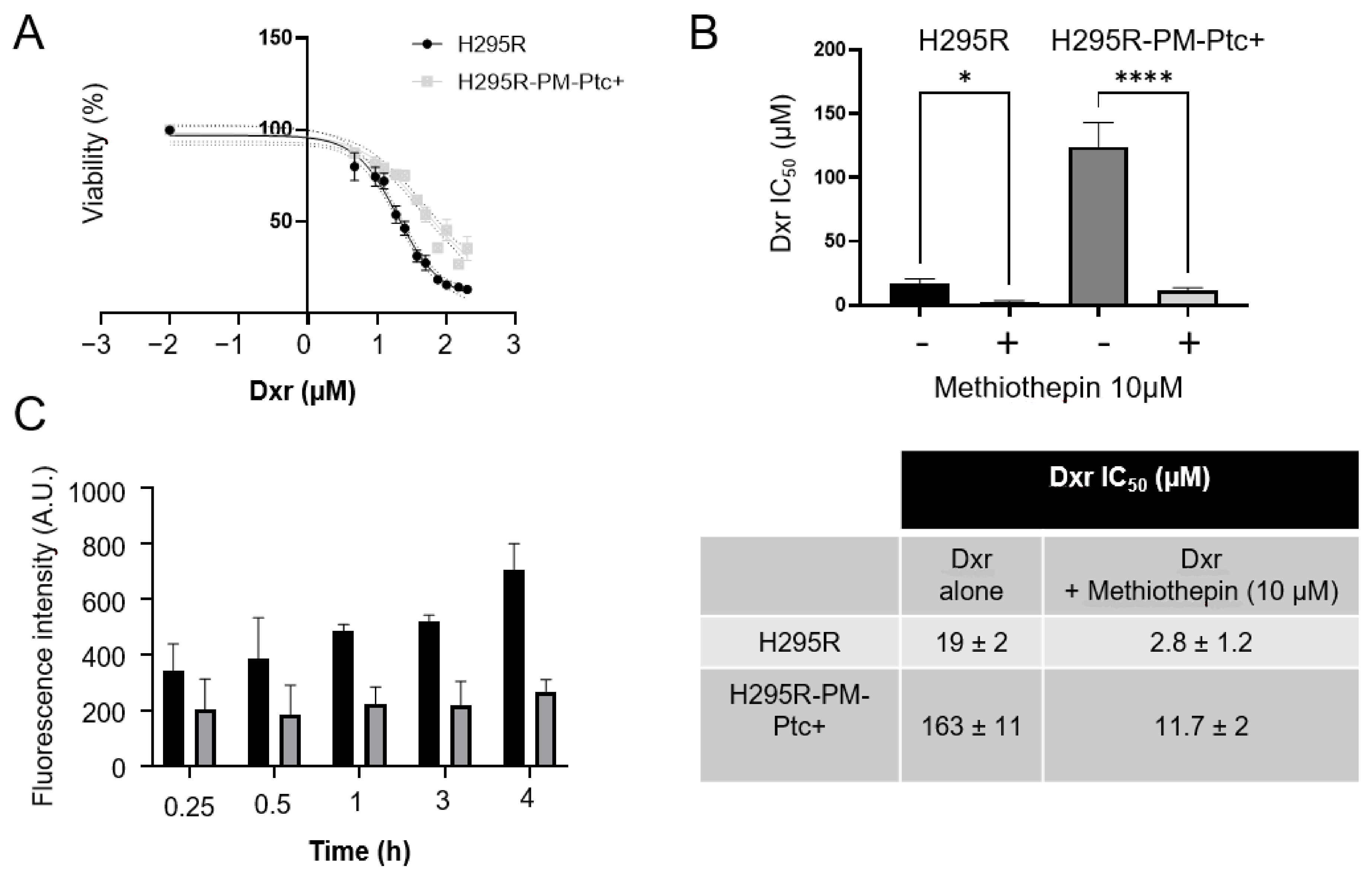 Pharmaceutics 14 00988 g002