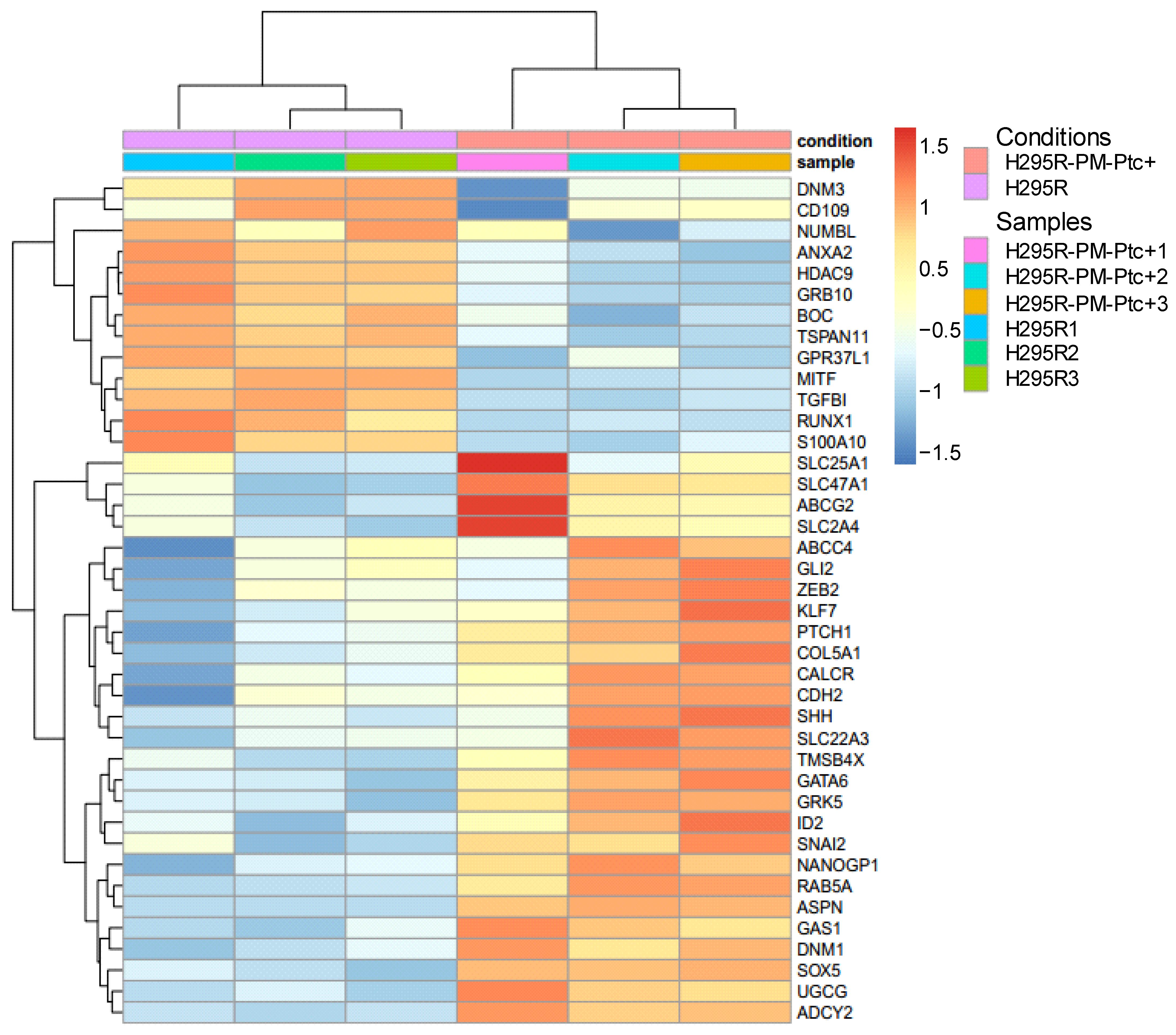Pharmaceutics 14 00988 g006