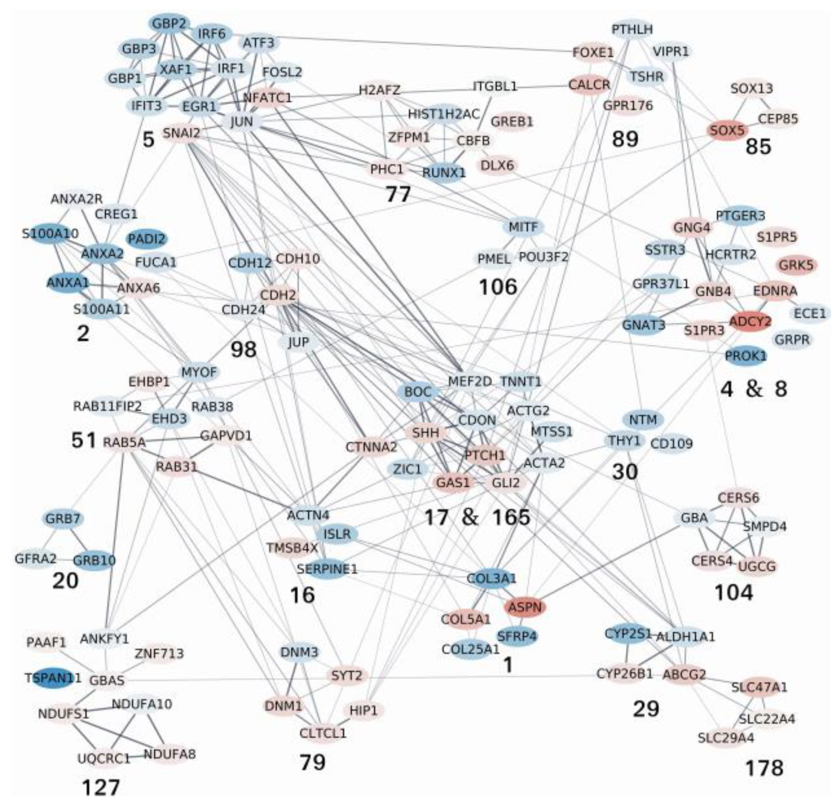 Pharmaceutics 14 00988 g007