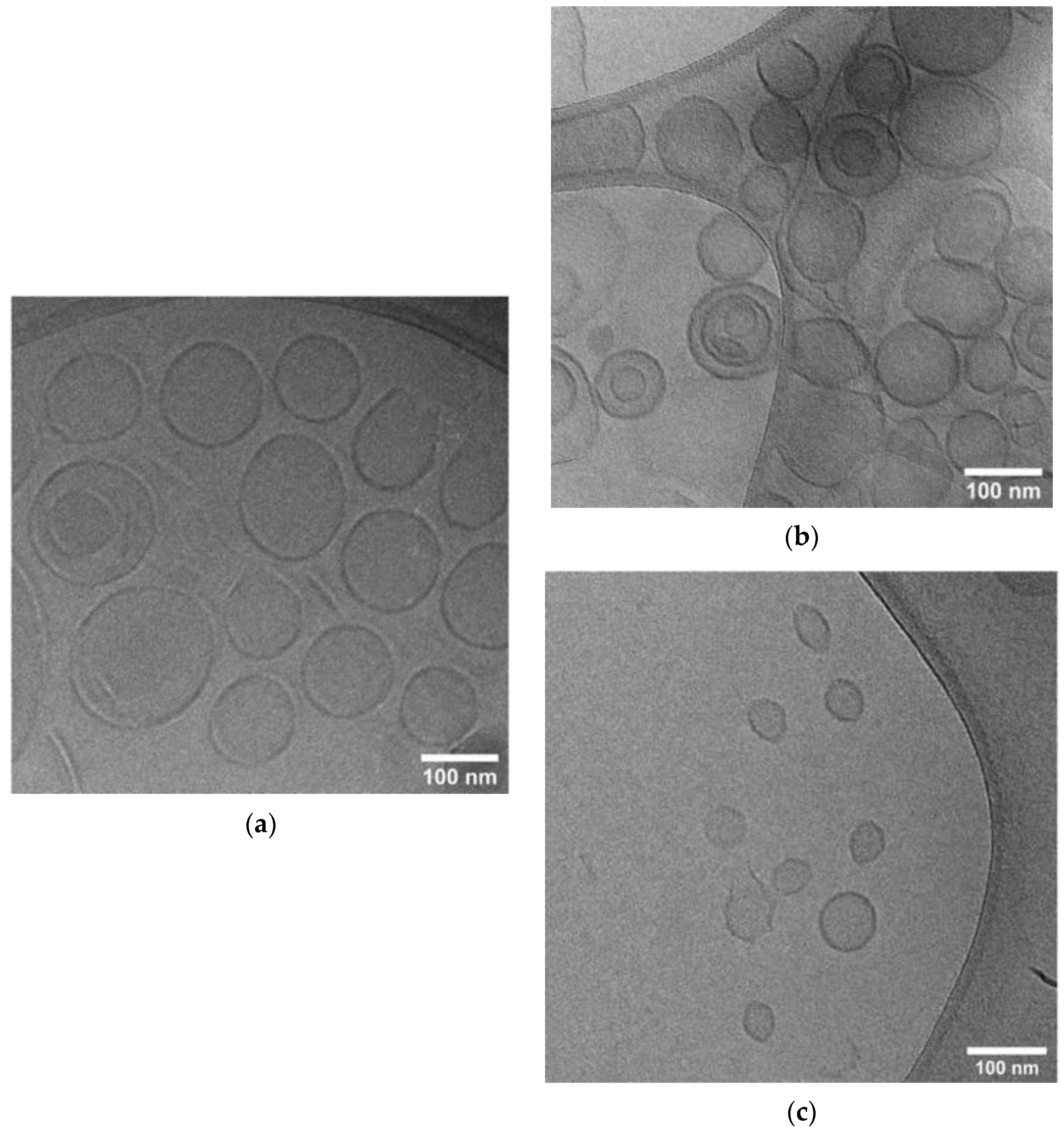 Pharmaceutics 14 00989 g001 550