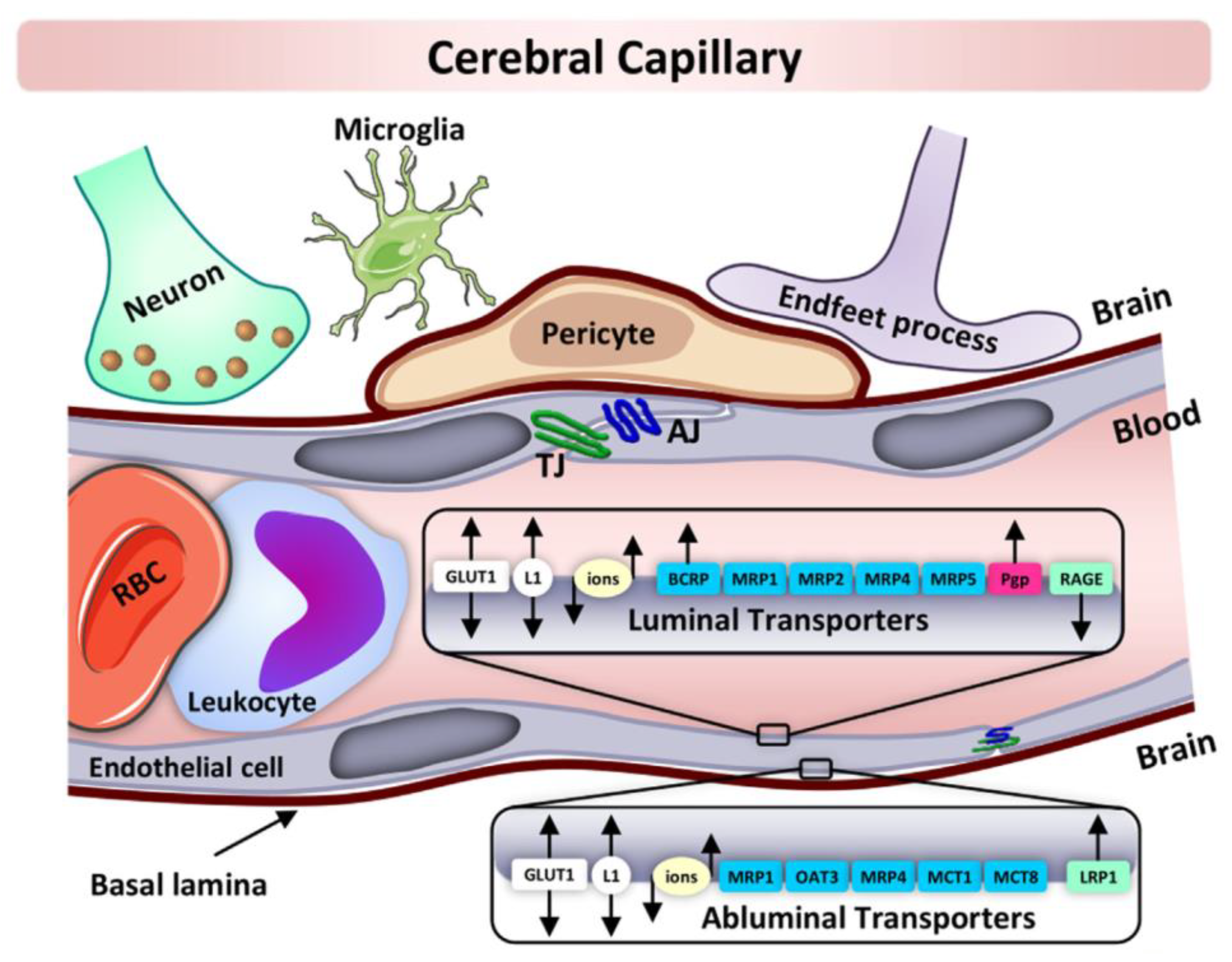 Pharmaceutics 14 00993 g002