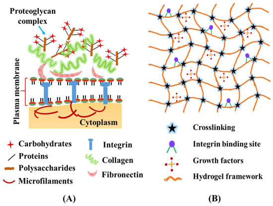 Advances in Hydrogel-Based Microfluidic Blood–Brain-Barrier Models