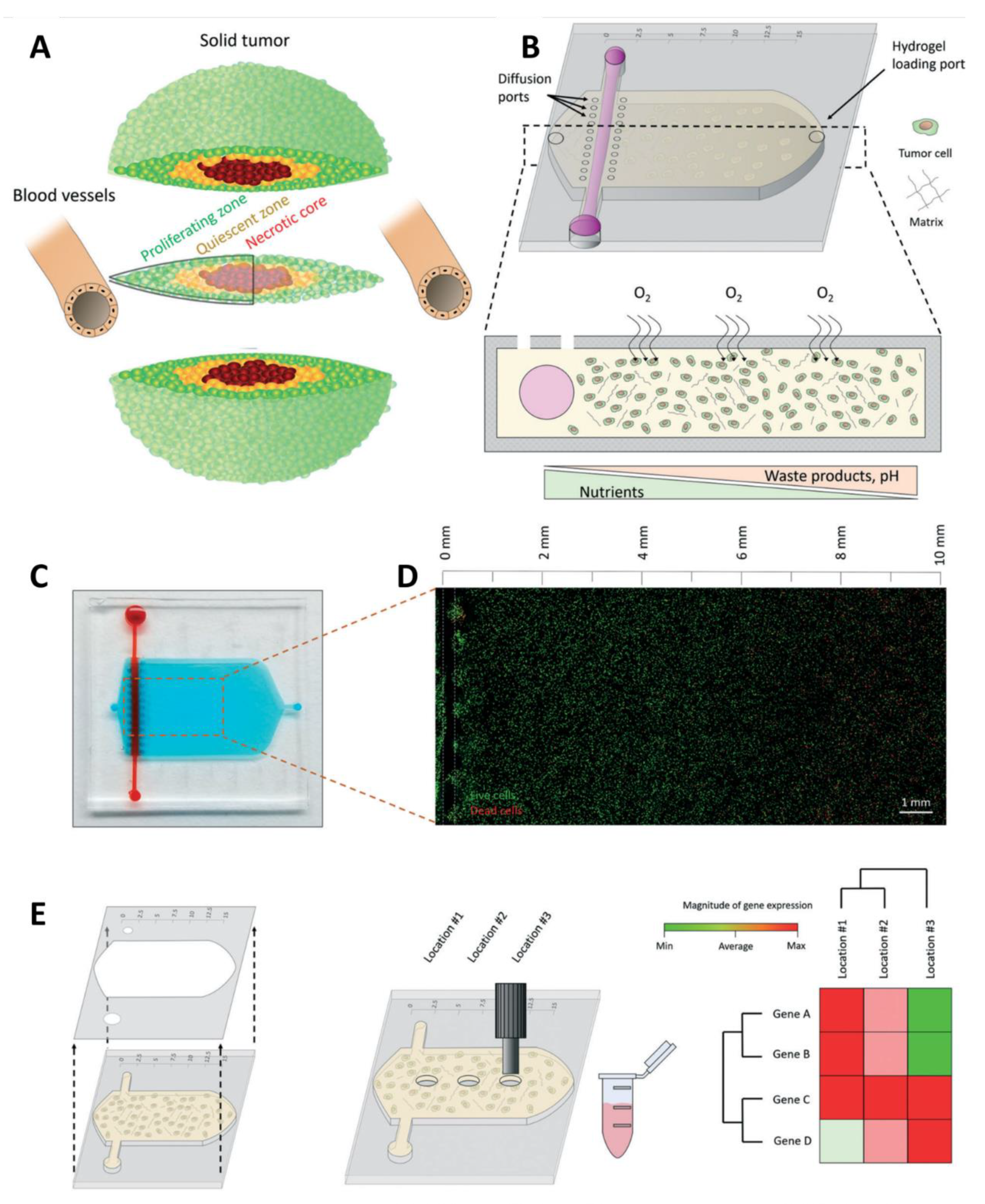 Pharmaceutics 14 00993 g006