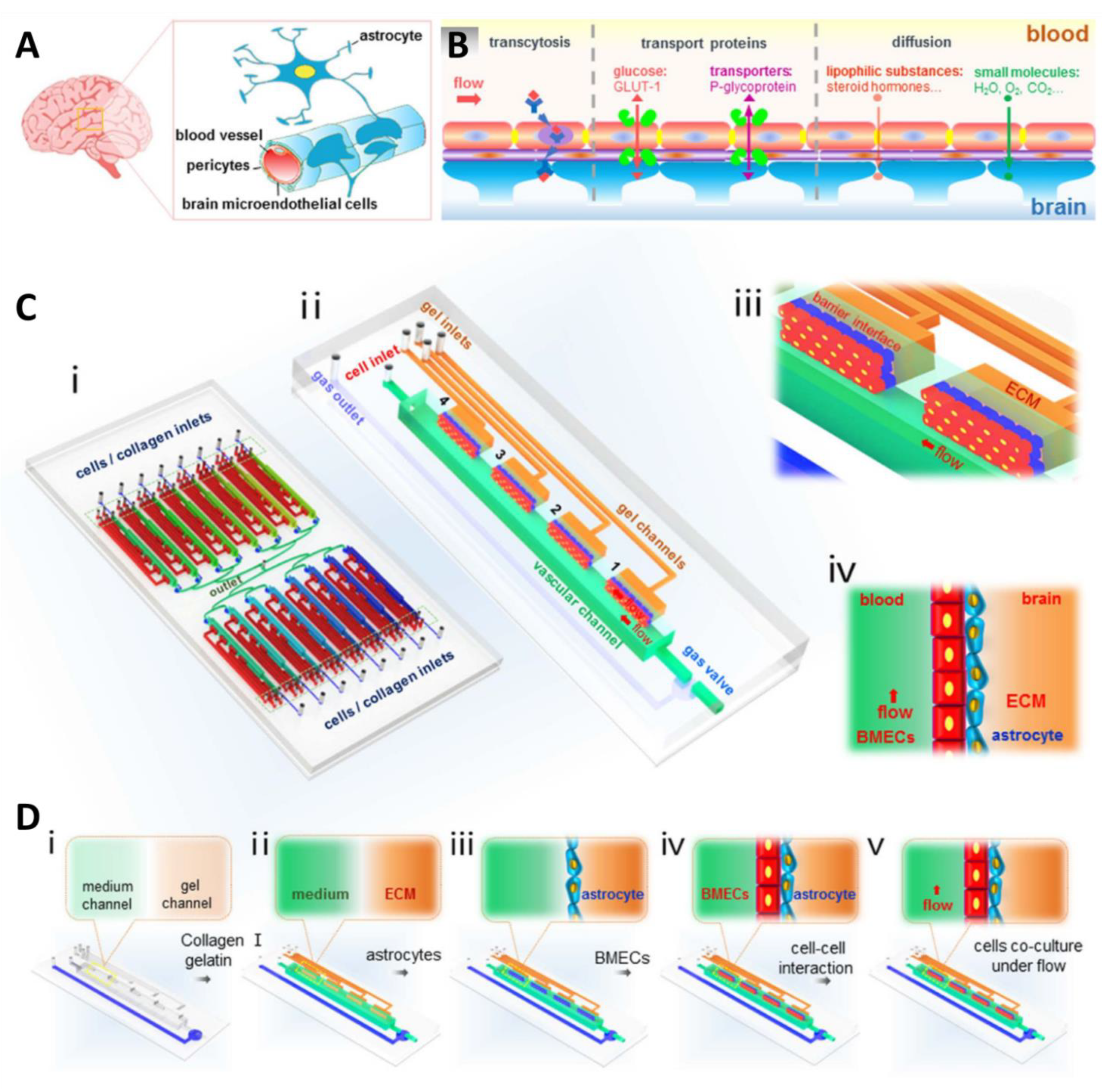 Pharmaceutics 14 00993 g007