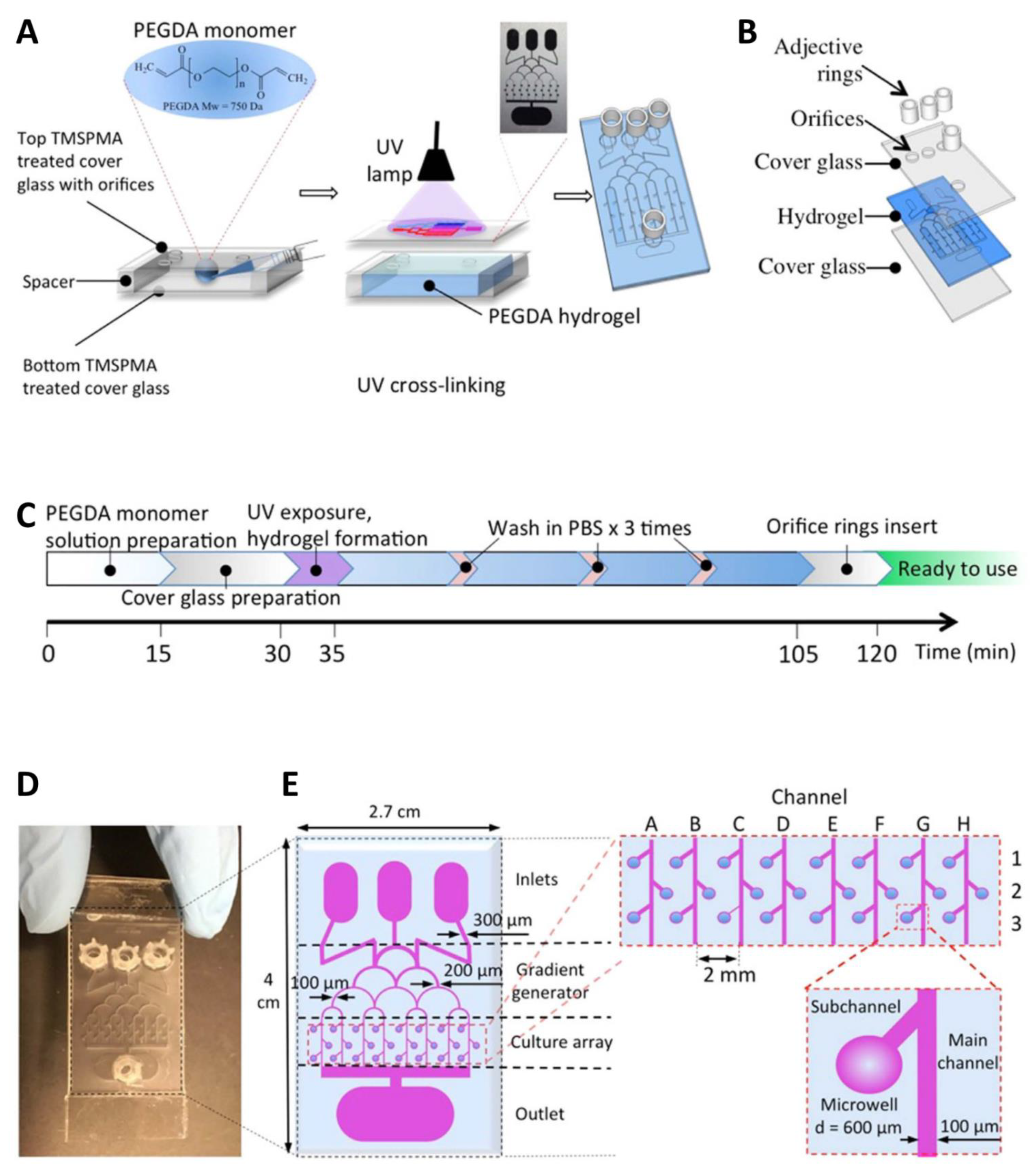 Pharmaceutics 14 00993 g008