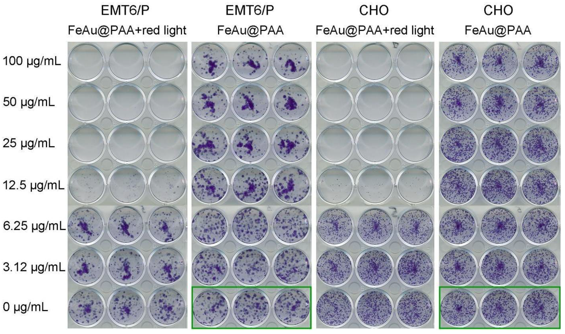 Pharmaceutics 14 00994 g005