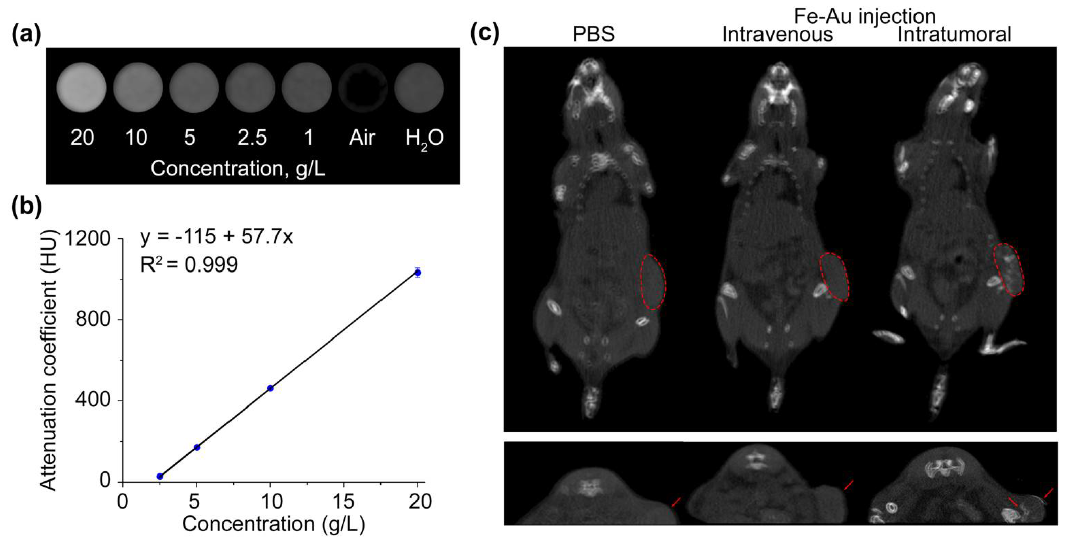 Pharmaceutics 14 00994 g008