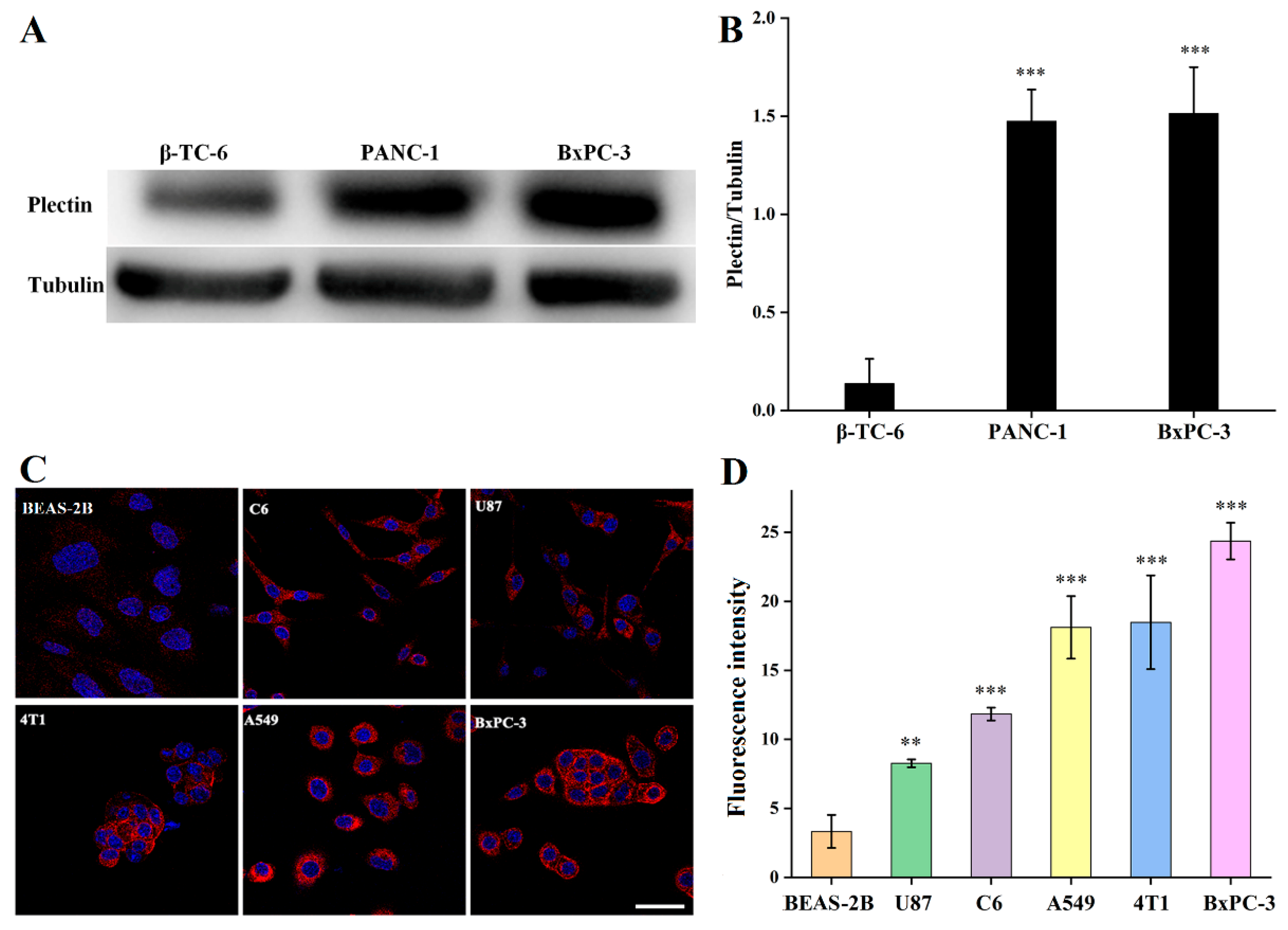 Pharmaceutics 14 00996 g001 550