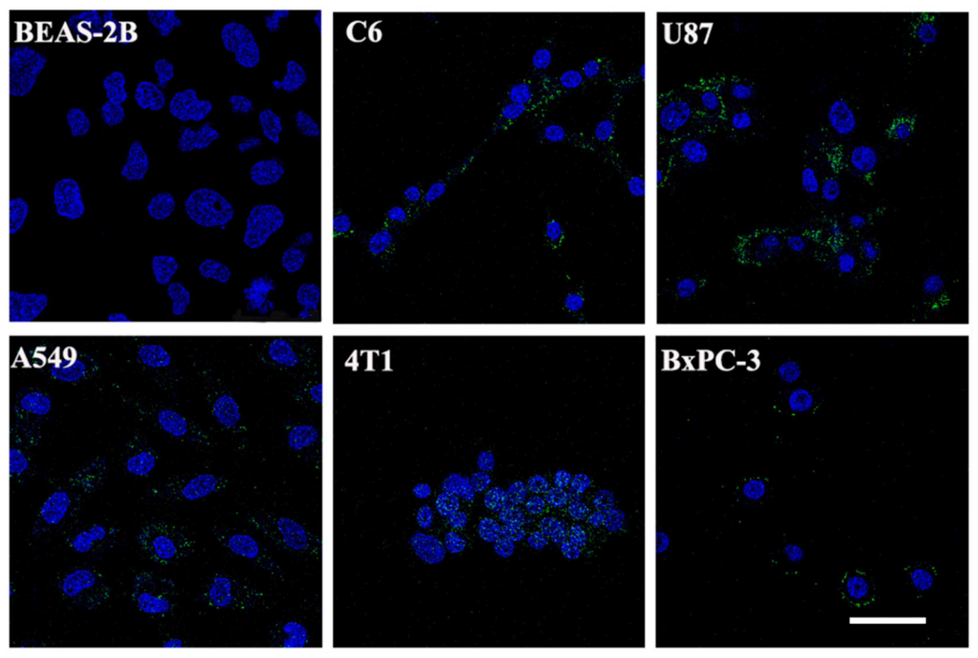 Pharmaceutics 14 00996 g003 550
