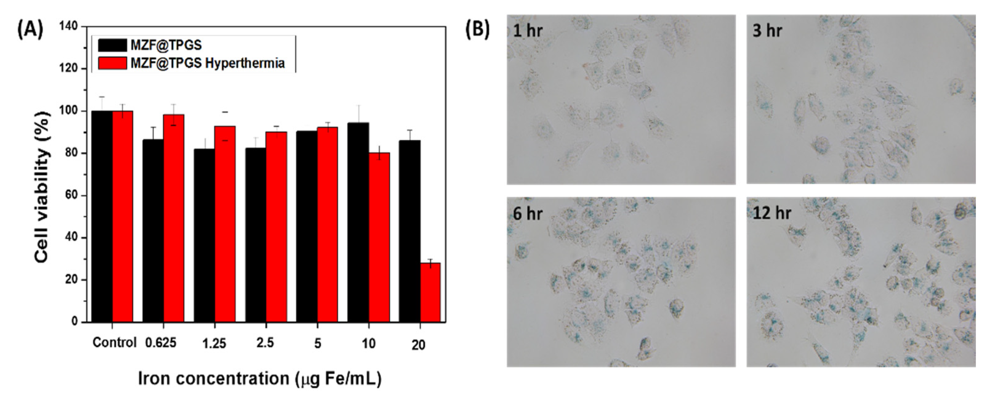Pharmaceutics 14 01000 g004