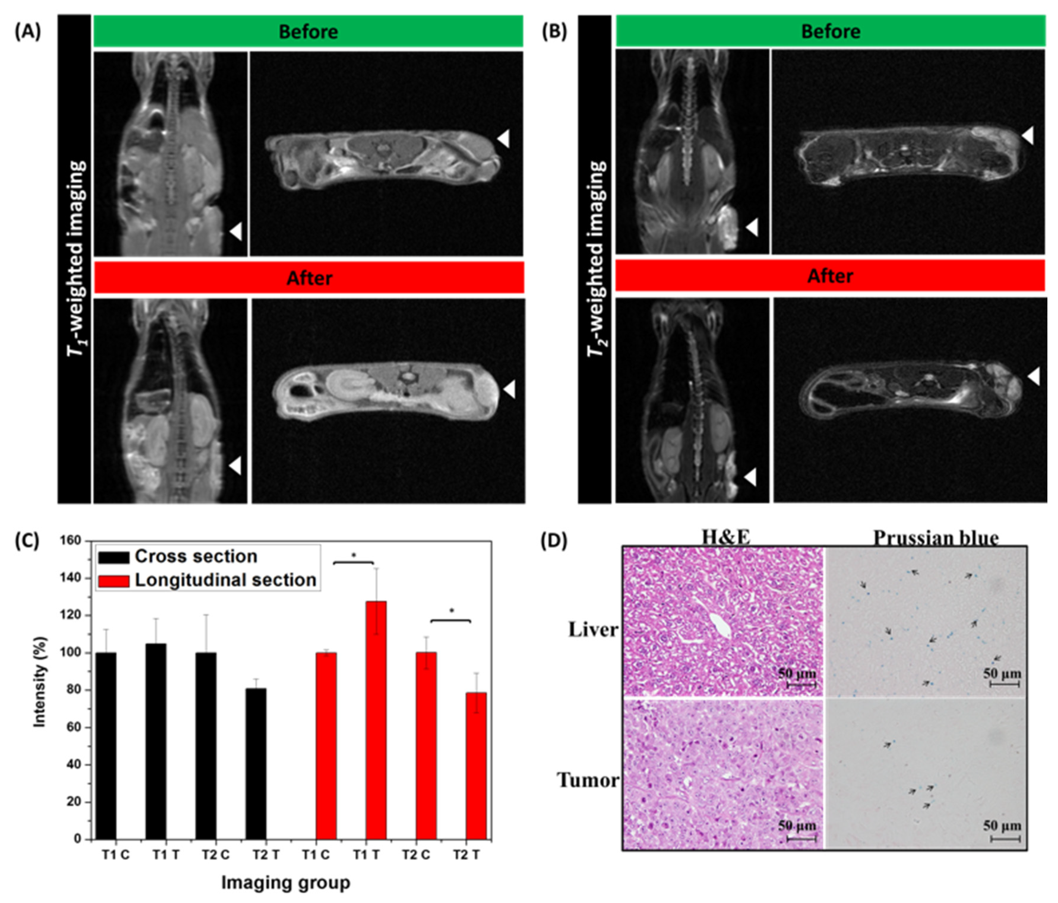 Pharmaceutics 14 01000 g005