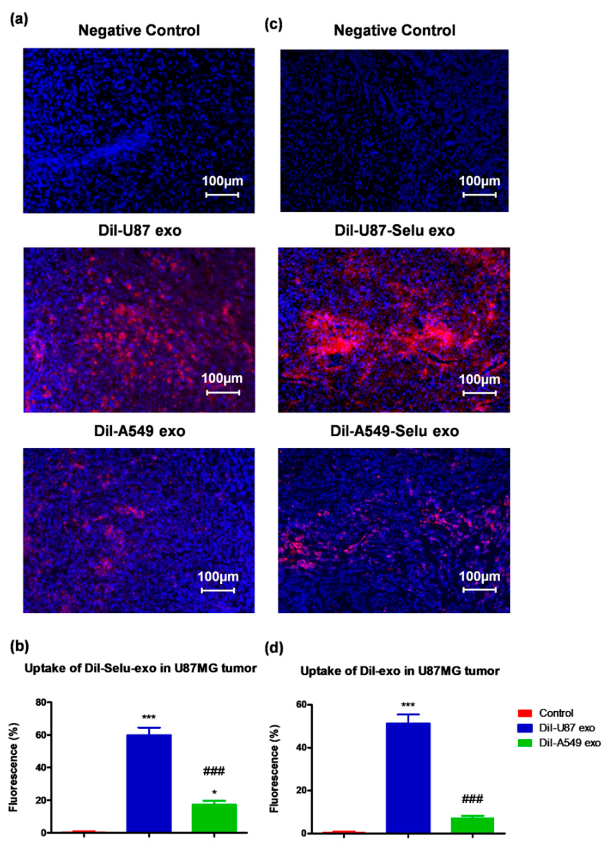 Pharmaceutics 14 01002 g007 550