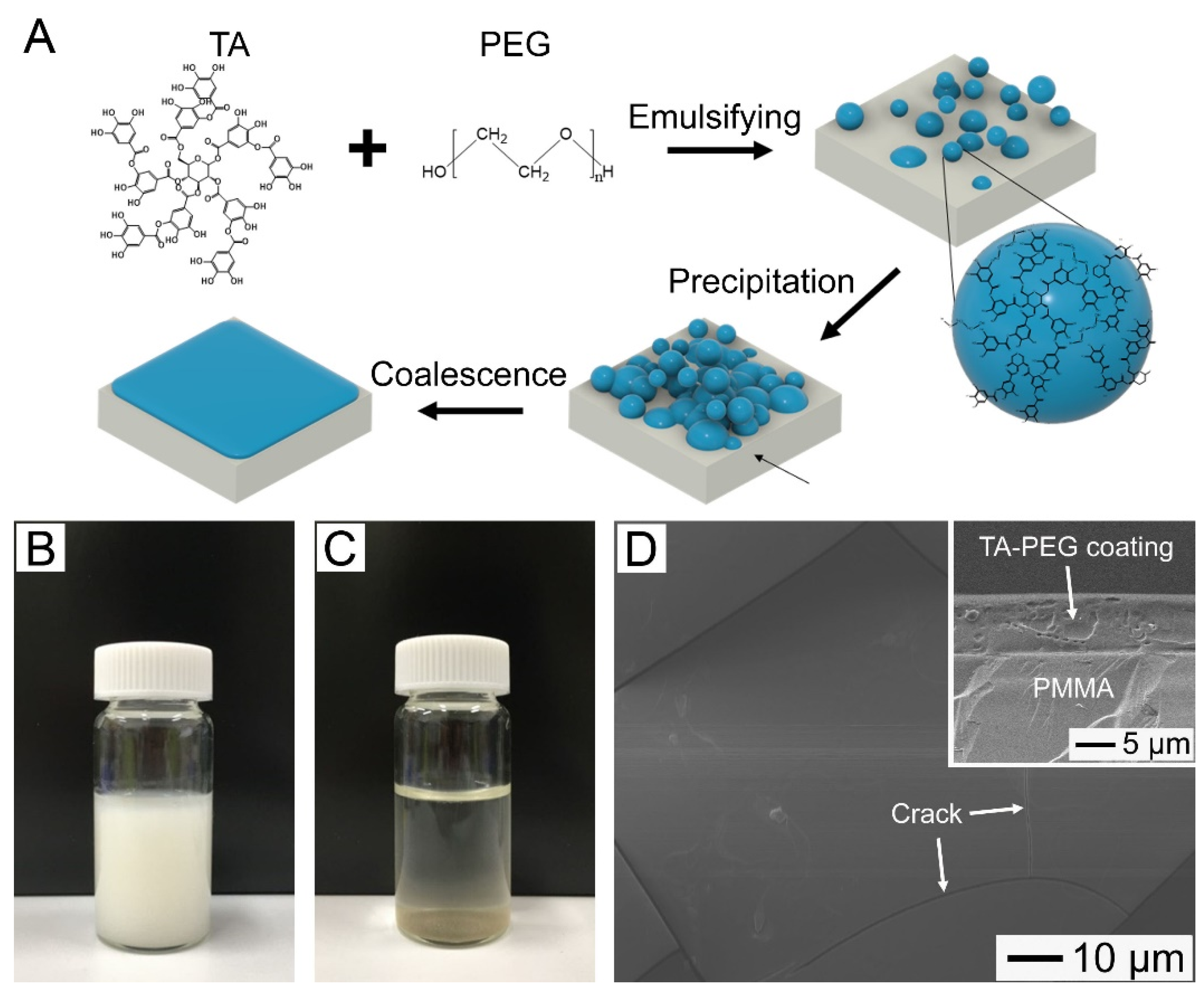 Pharmaceutics 14 01005 g001