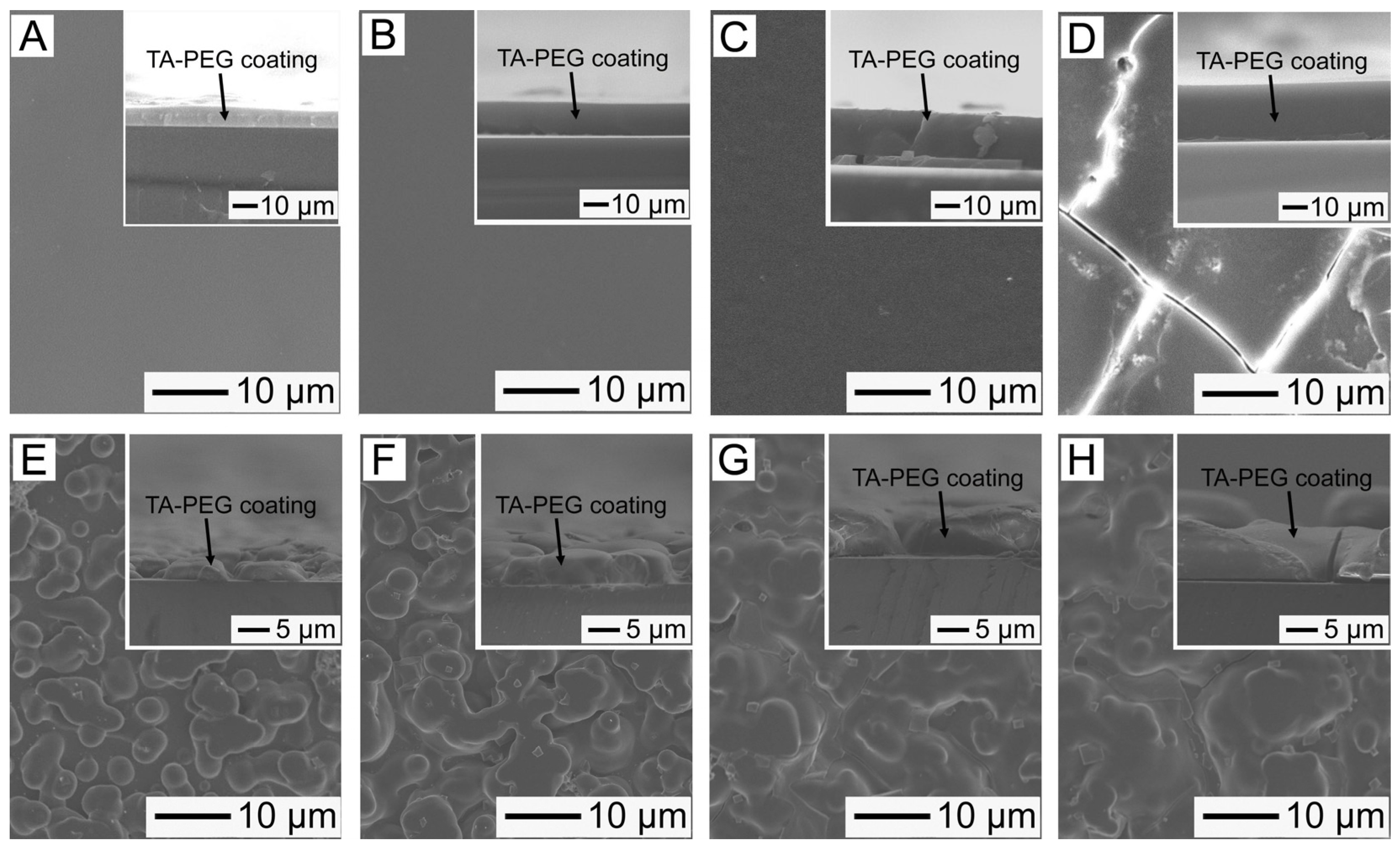 Pharmaceutics 14 01005 g003