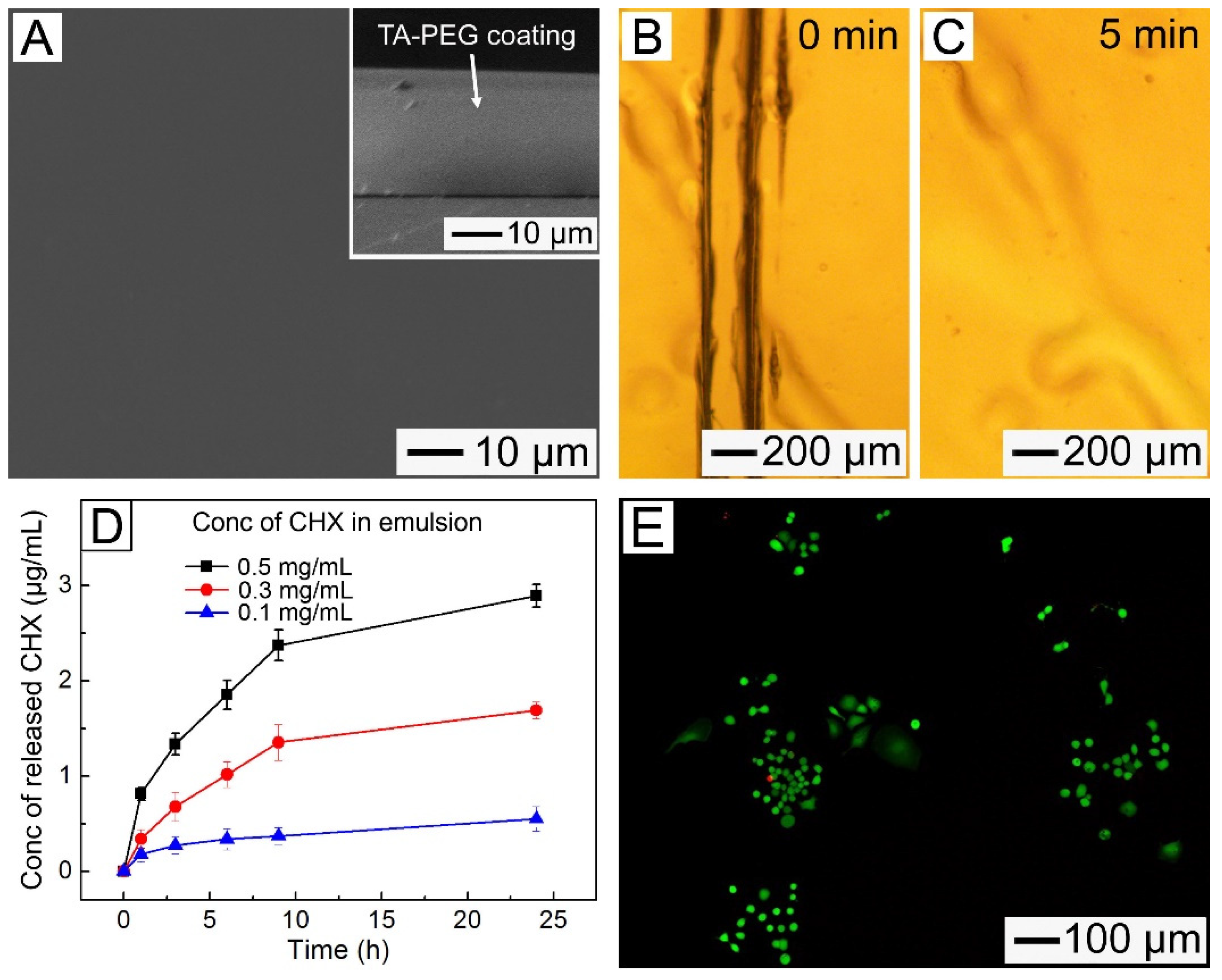 Pharmaceutics 14 01005 g006
