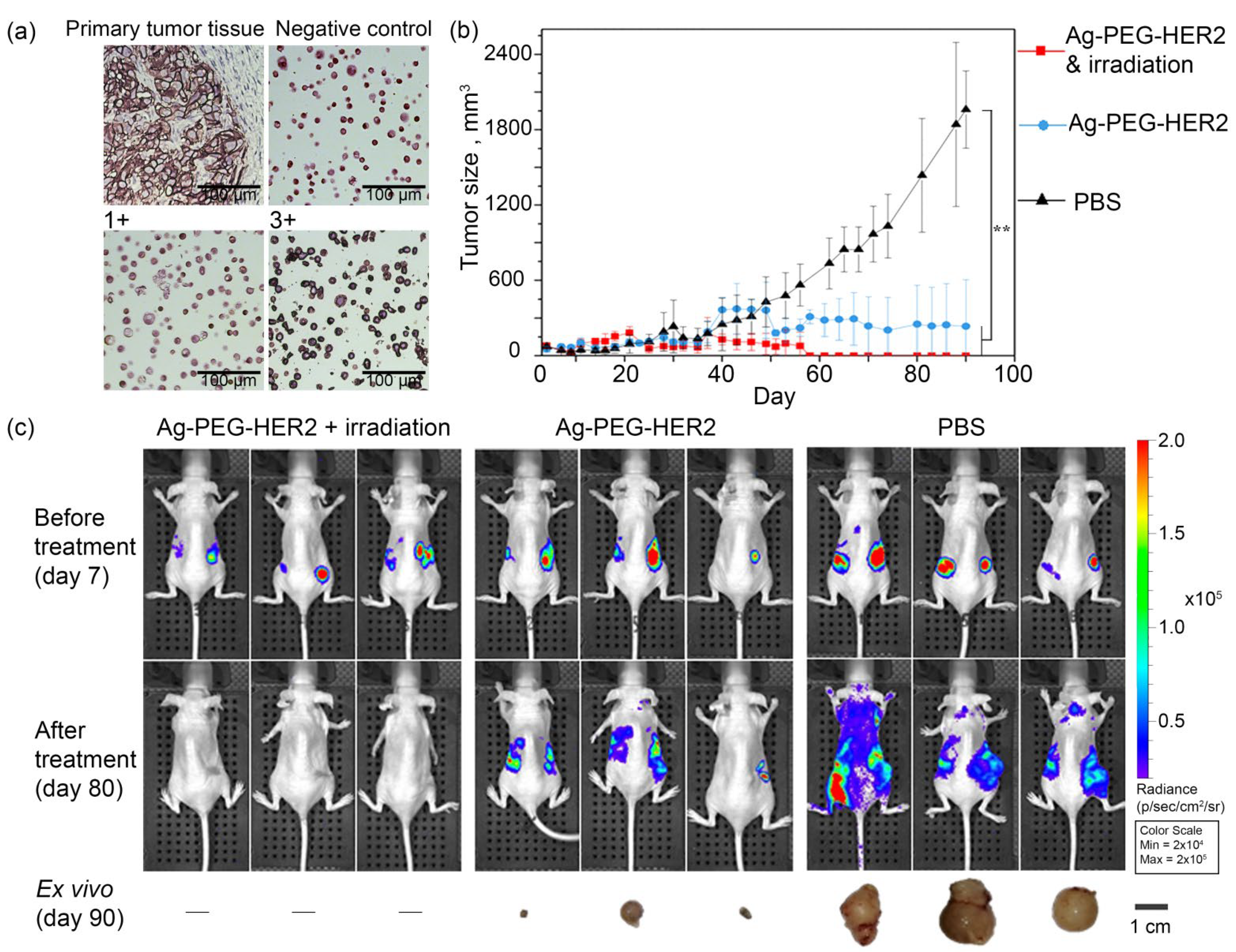 Pharmaceutics 14 01013 g007