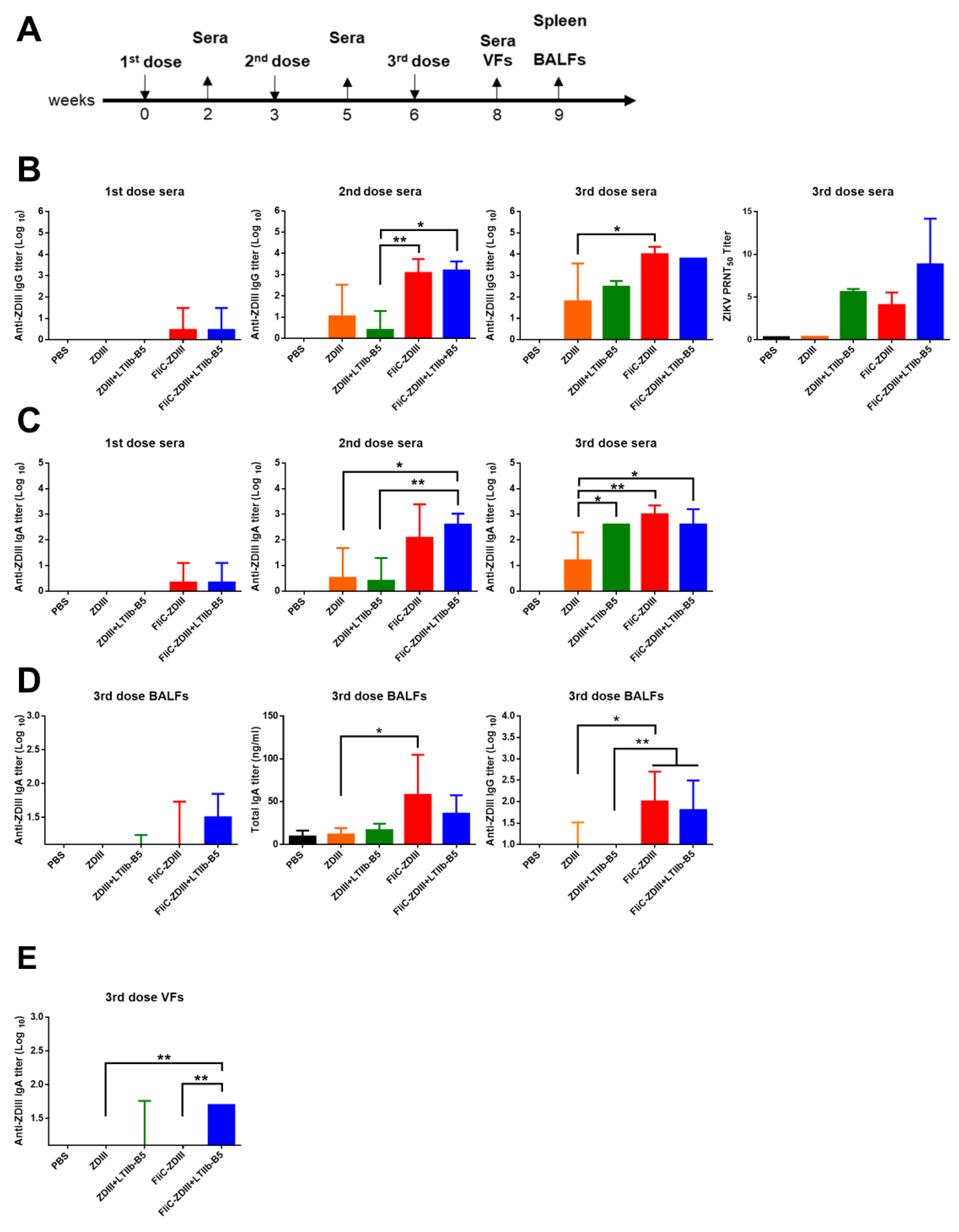 Pharmaceutics 14 01014 g002