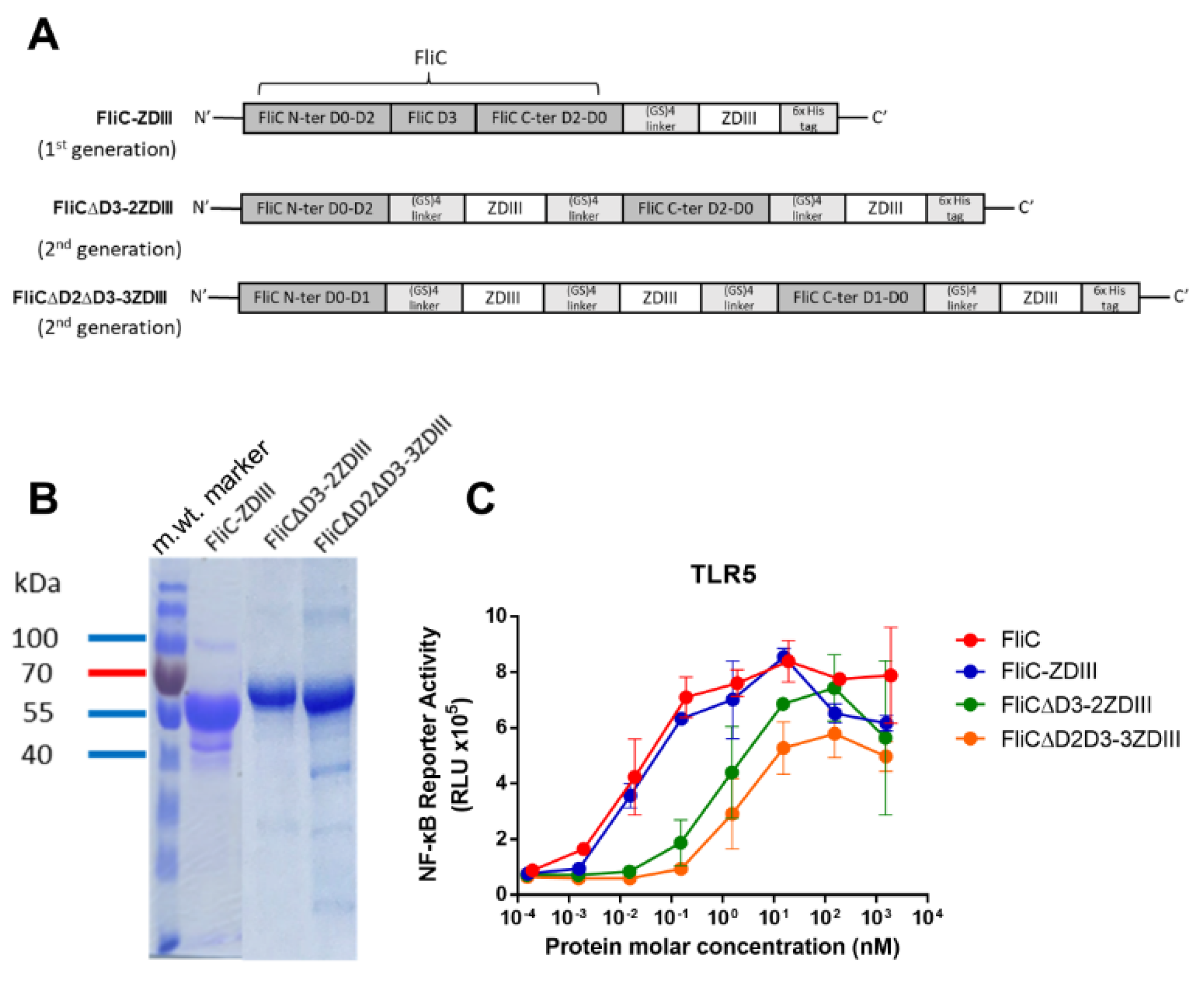 Pharmaceutics 14 01014 g005