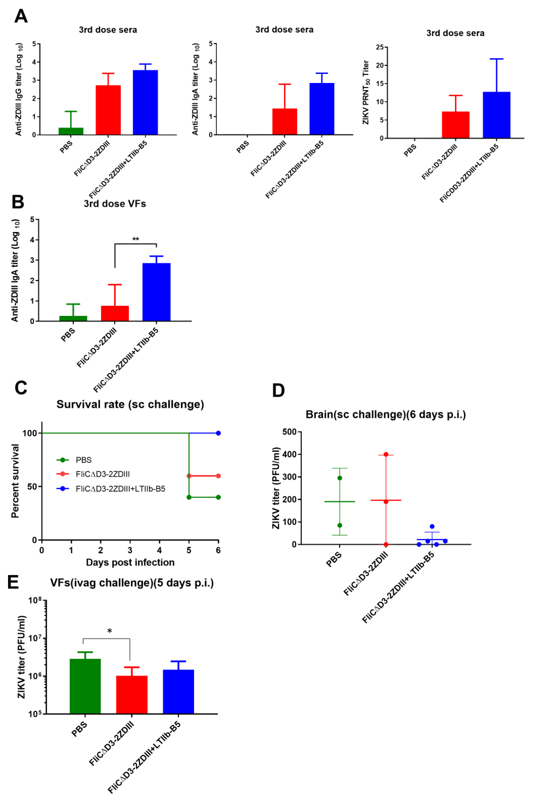 Pharmaceutics 14 01014 g007