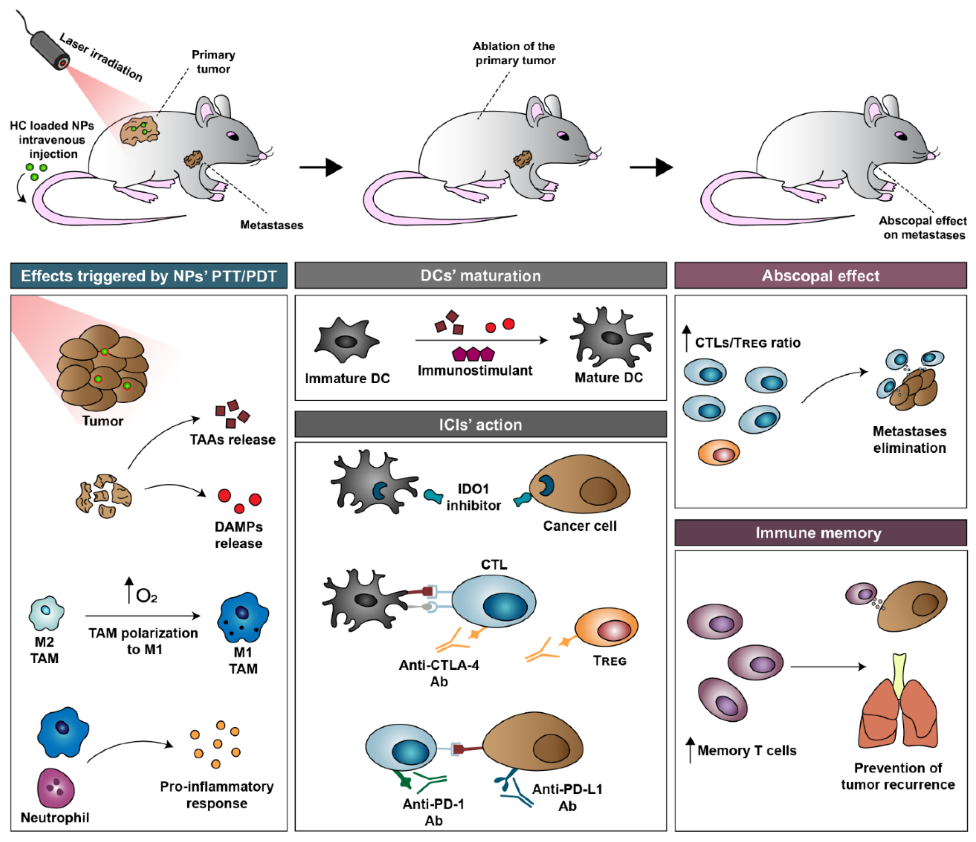 Pharmaceutics 14 01015 g002