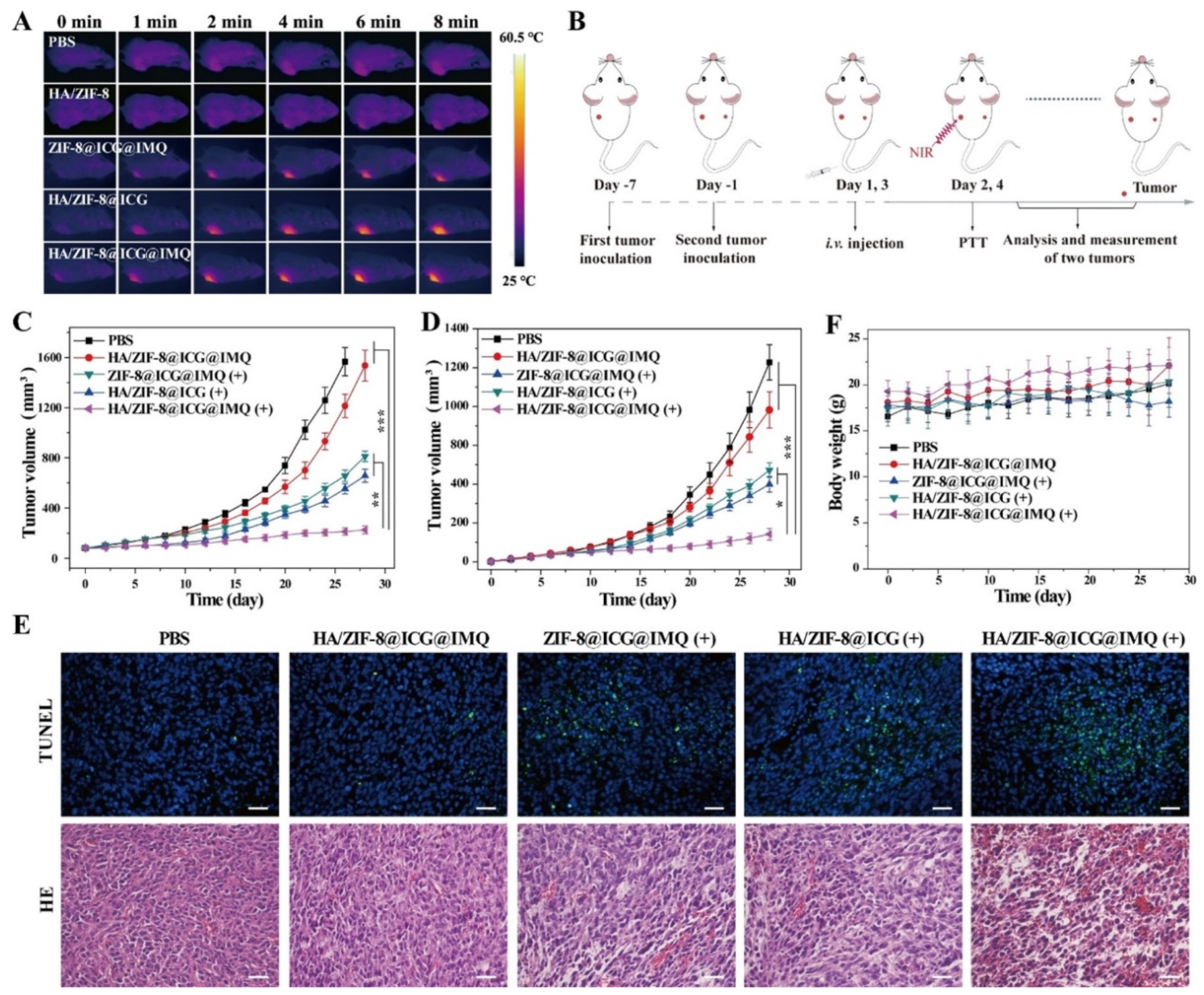 Pharmaceutics 14 01015 g004