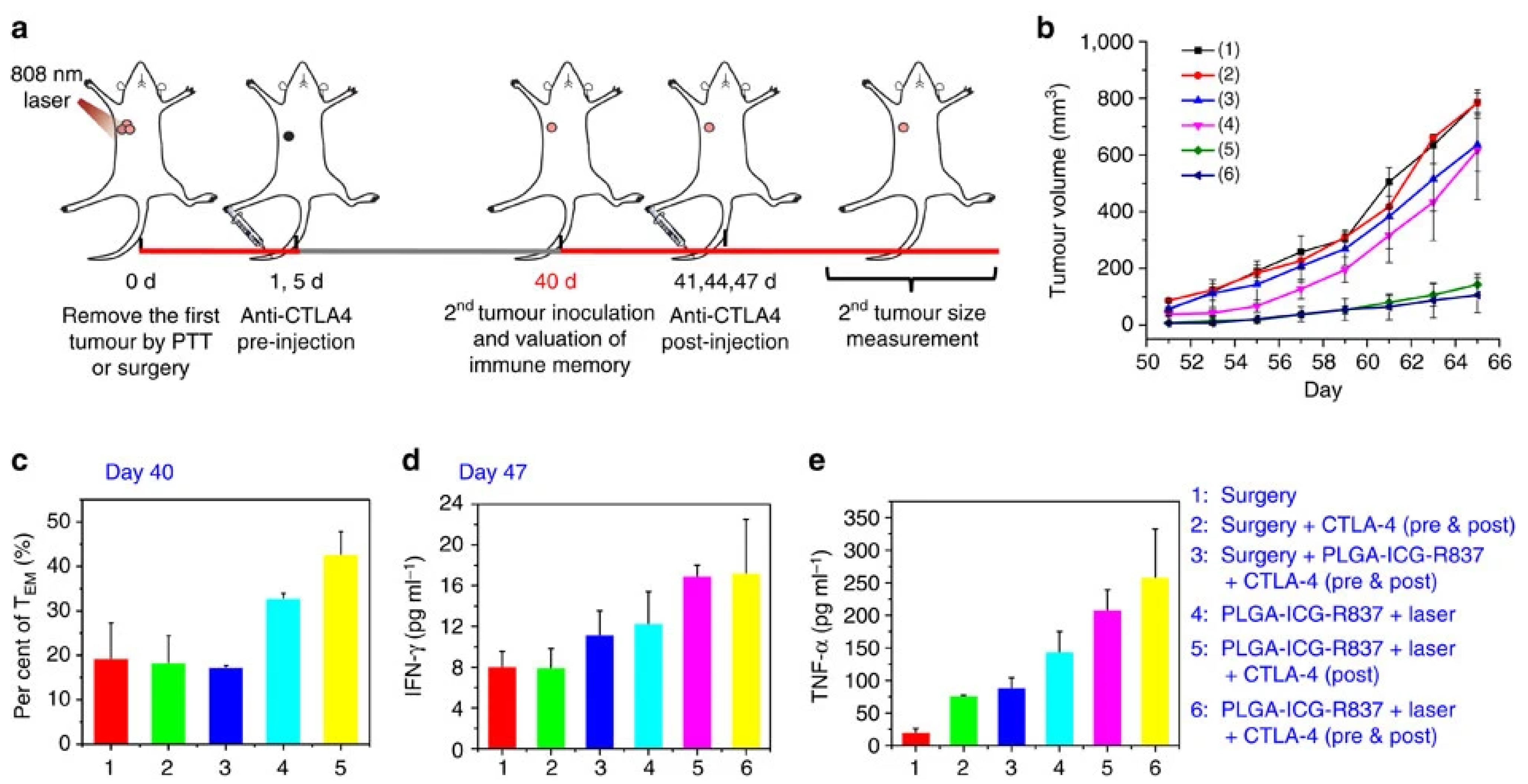 Pharmaceutics 14 01015 g005
