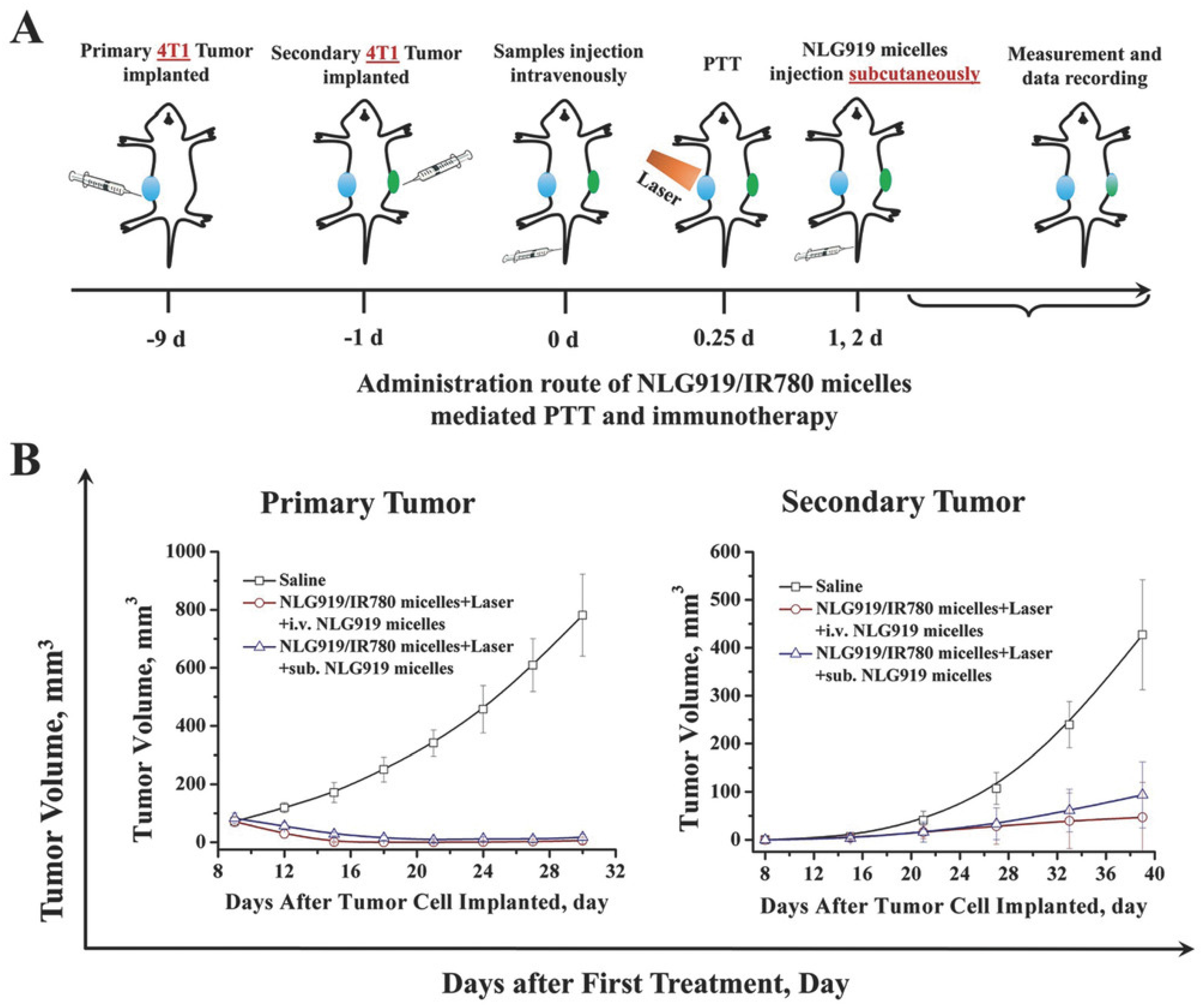 Pharmaceutics 14 01015 g006