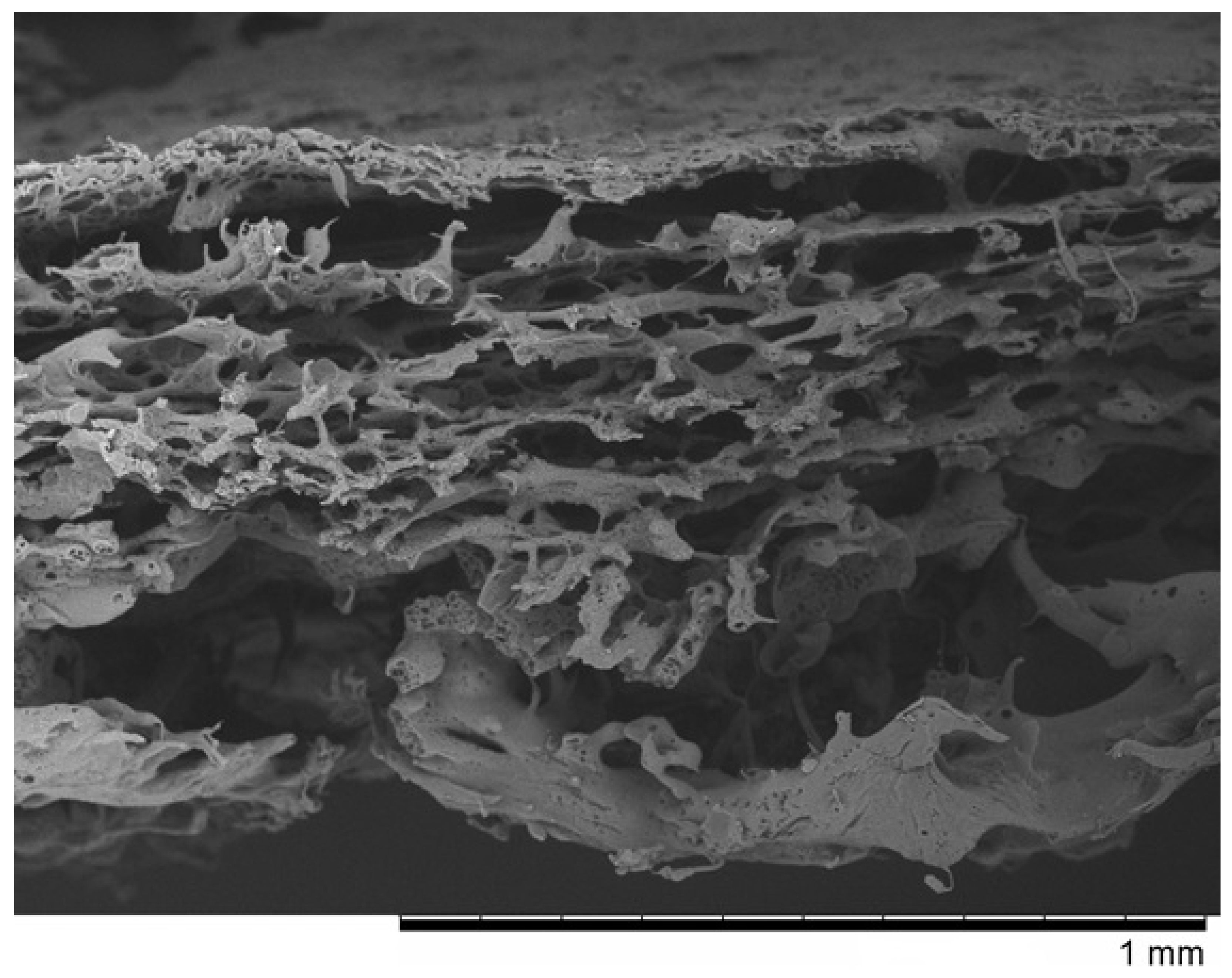 Pharmaceutics 14 01016 g001 550