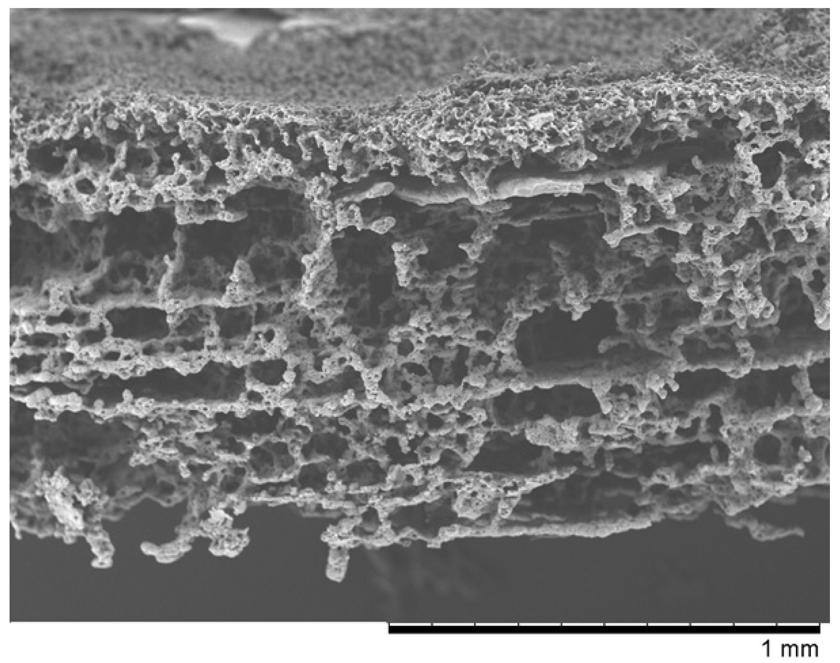 Pharmaceutics 14 01016 g002 550