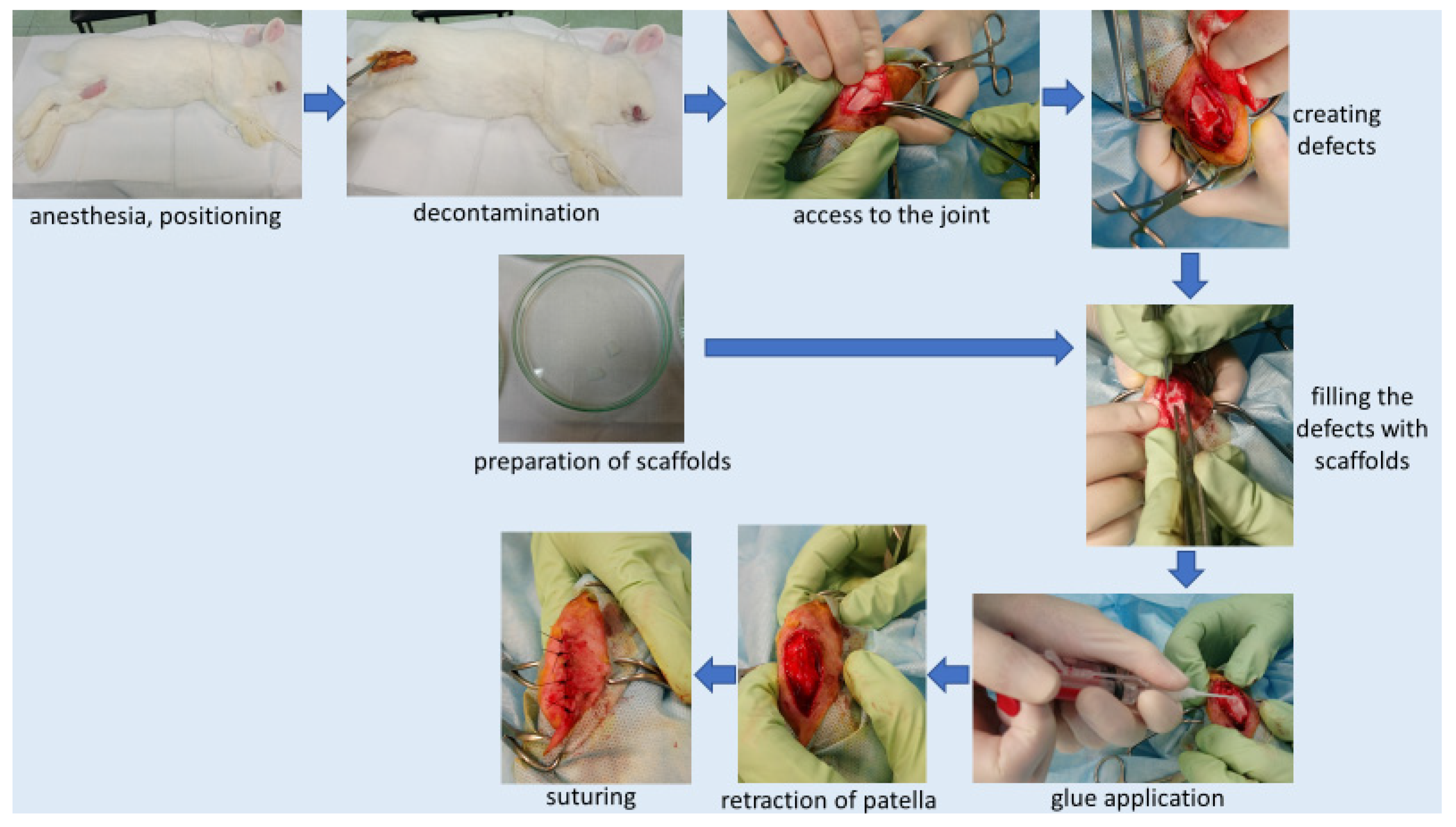 Pharmaceutics 14 01016 g003 550