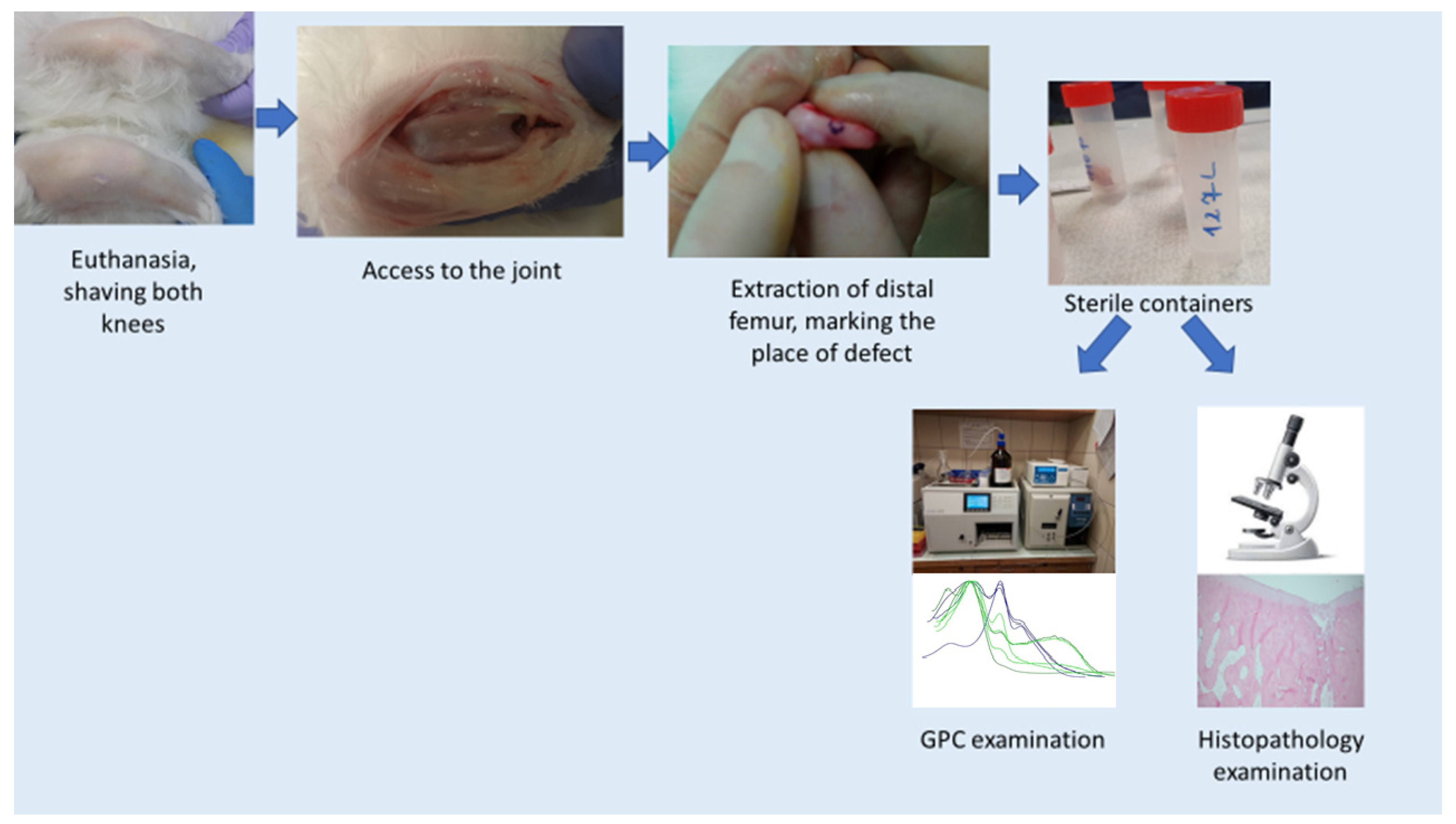 Pharmaceutics 14 01016 g004 550