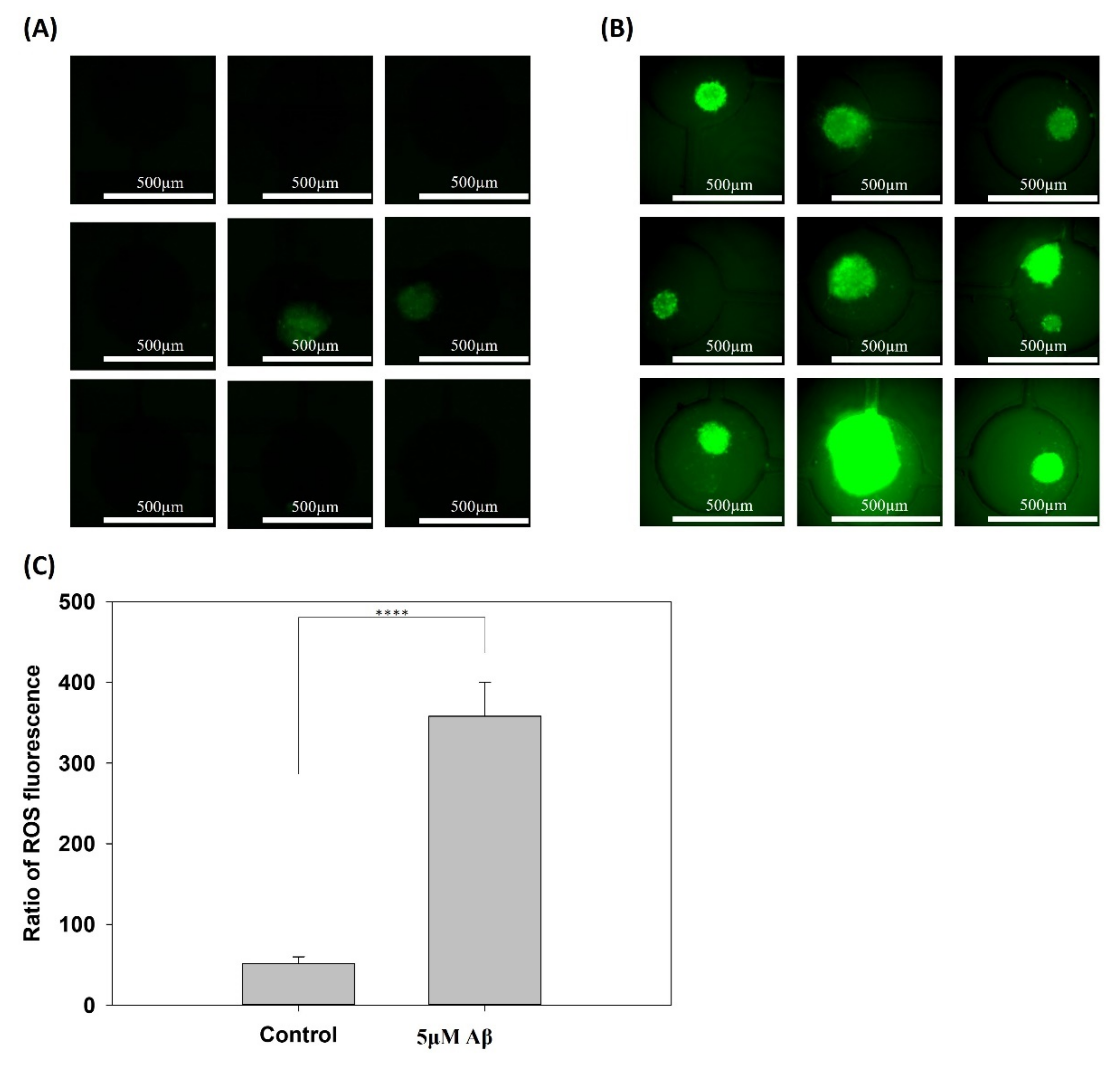 Pharmaceutics 14 01022 g003