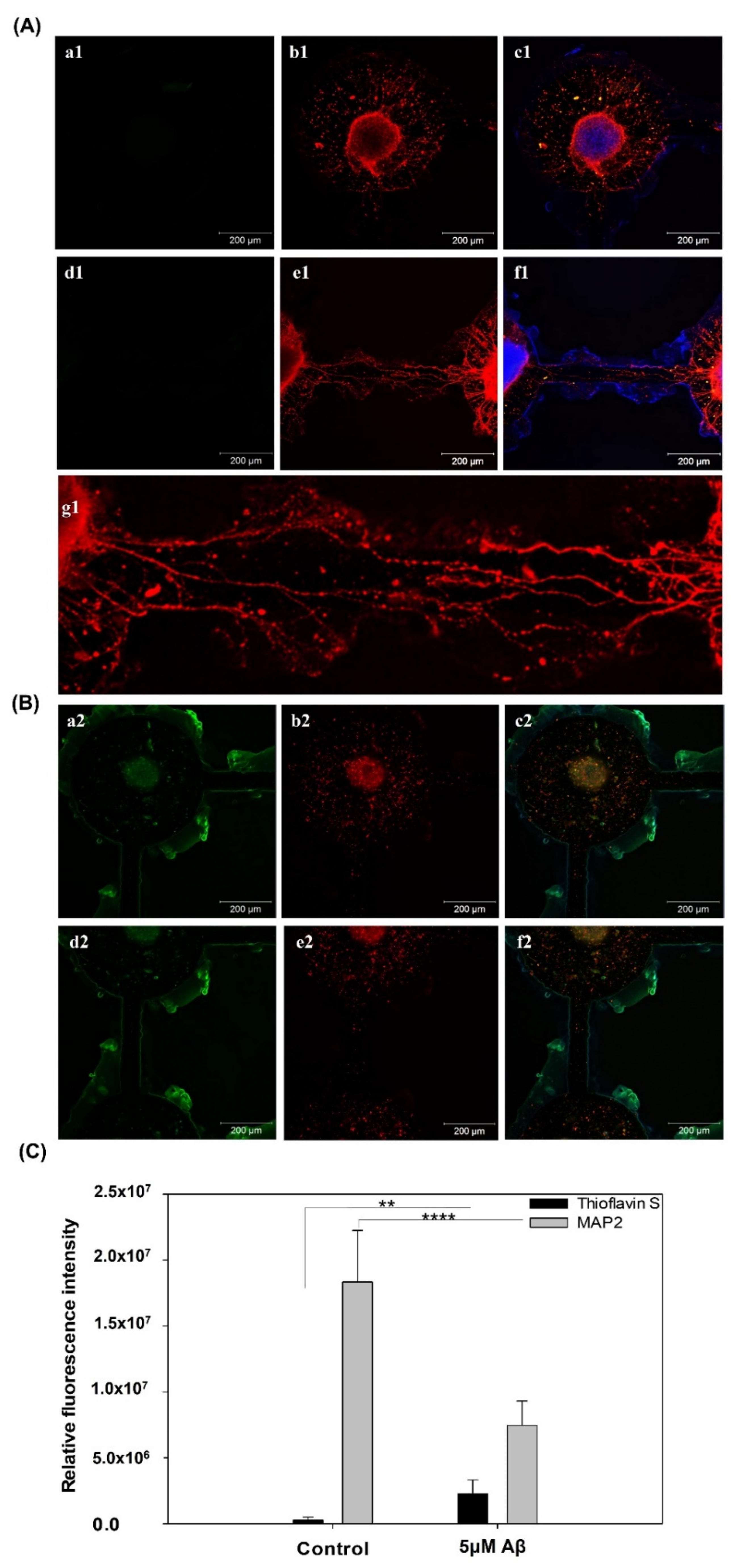 Pharmaceutics 14 01022 g004