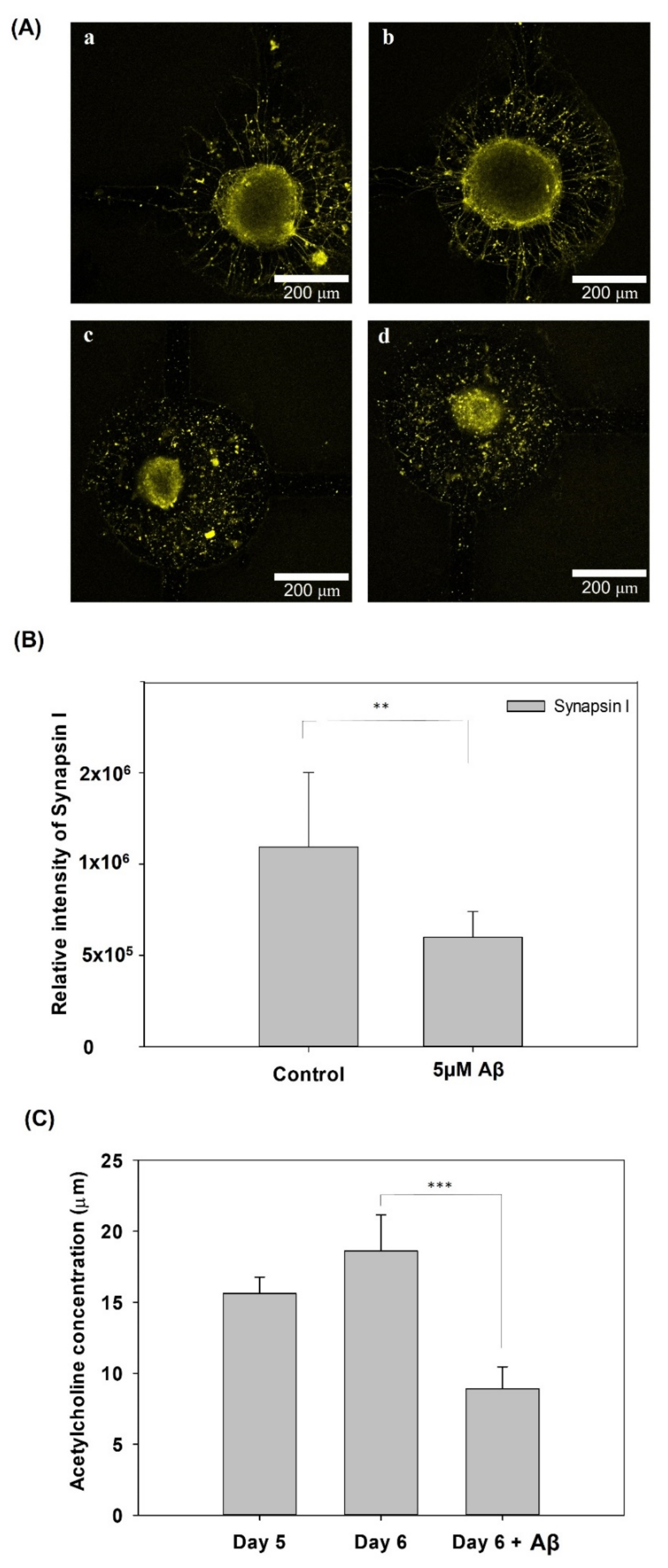 Pharmaceutics 14 01022 g007